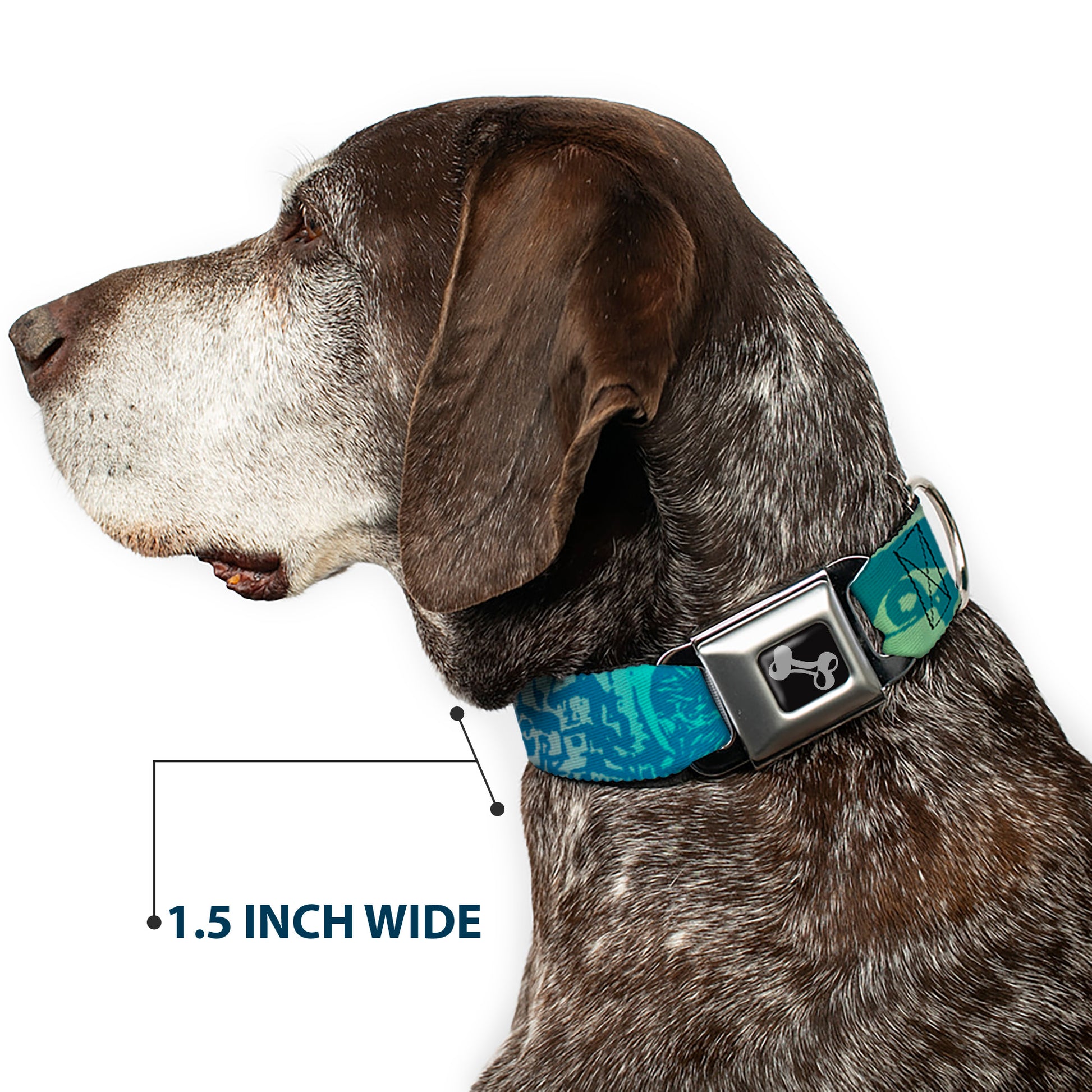 Dog Bone Seatbelt Buckle Collar - Retro Monster Aqua Seatbelt Buckle Collars Buckle-Down