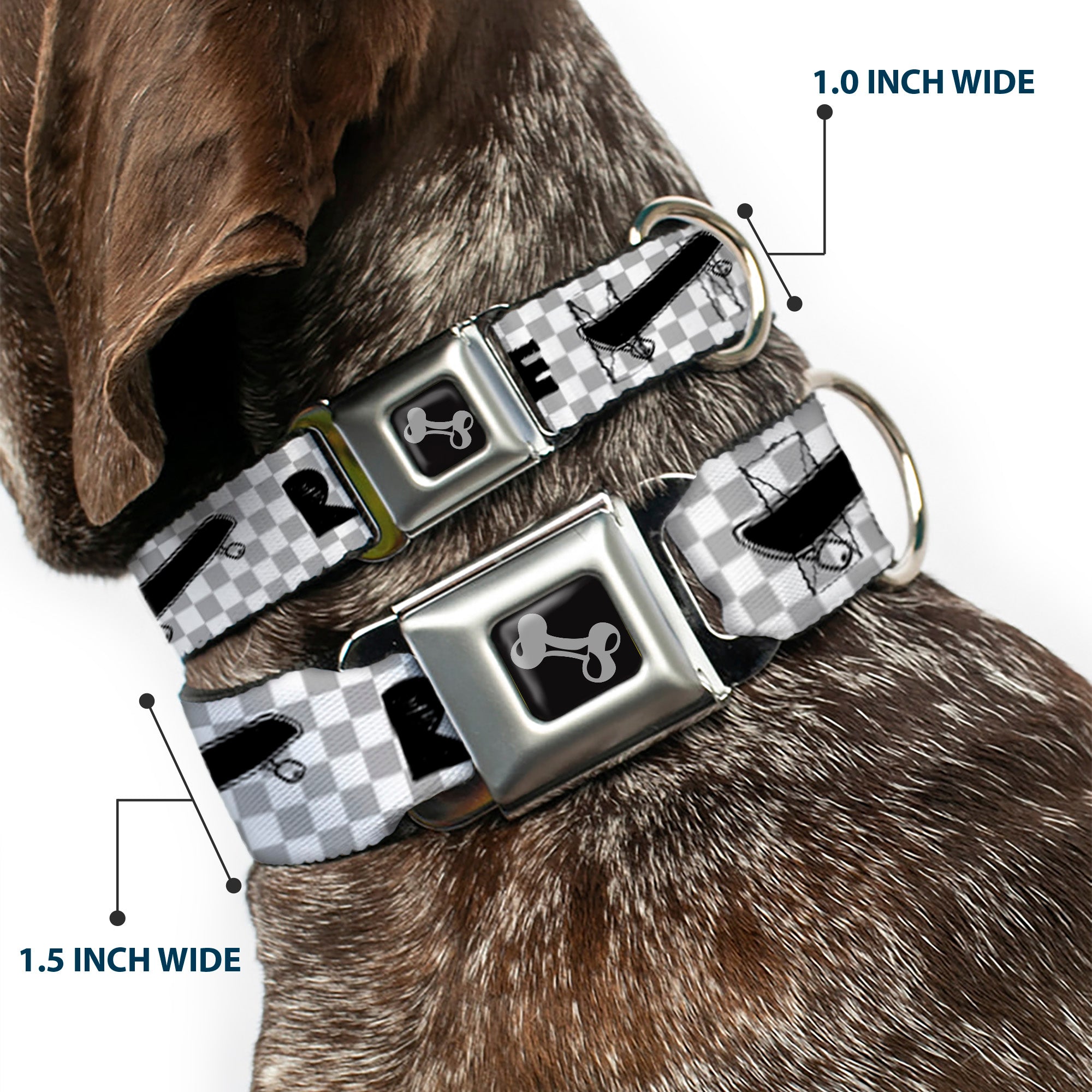 Dog Bone Seatbelt Buckle Collar - RIDE ME Skateboard w/Mini Checker White/Gray/Black Seatbelt Buckle Collars Buckle-Down