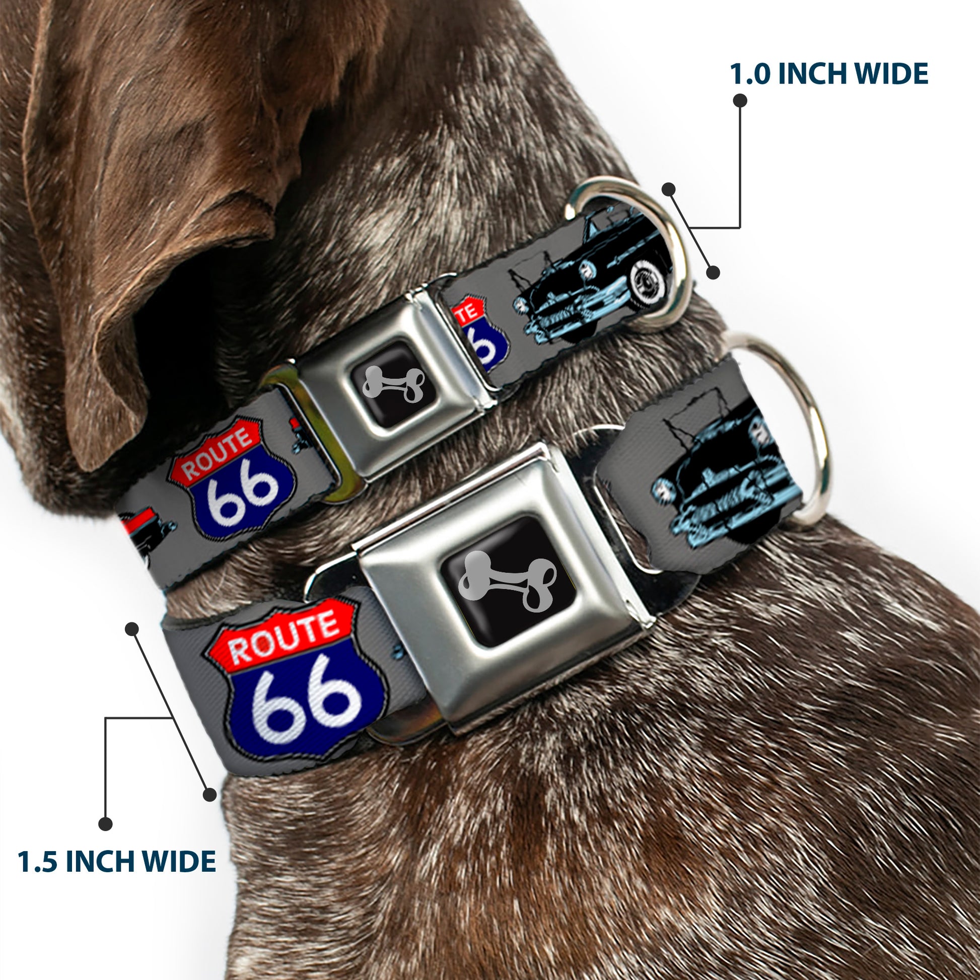 Dog Bone Seatbelt Buckle Collar - Route 66 Classics Gray Seatbelt Buckle Collars Buckle-Down