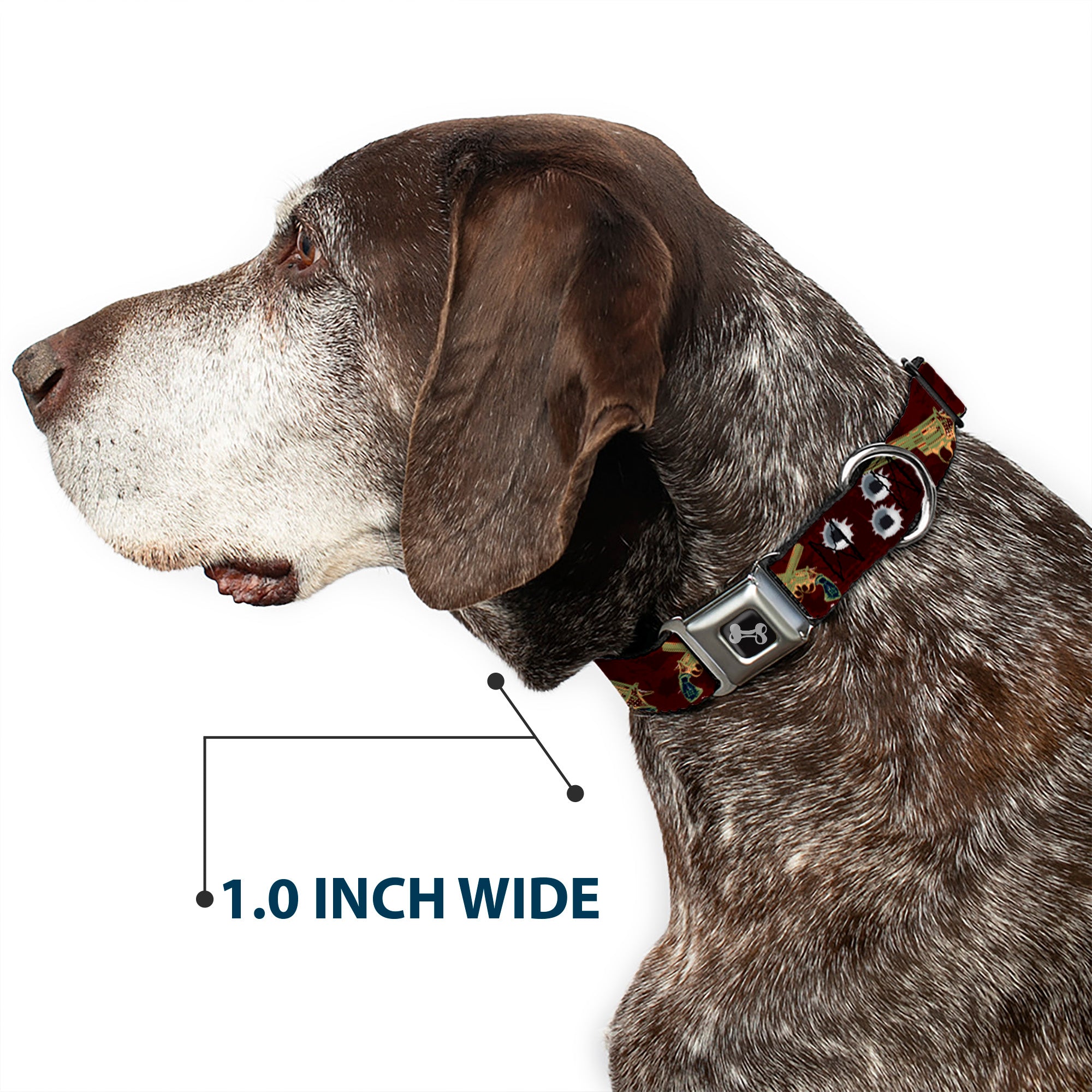 Buckle-Down Seatbelt Buckle Dog Collar - Revolvers Purple/Green Seatbelt Buckle Collars Buckle-Down