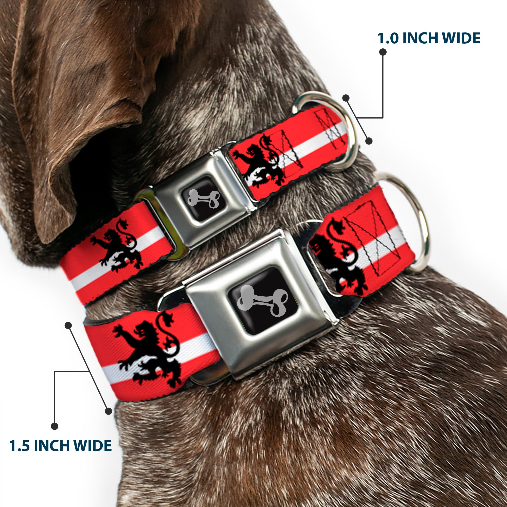 Dog Bone Seatbelt Buckle Collar - Rampant Lion Repeat/Stripes Red/White/Black Seatbelt Buckle Collars Buckle-Down
