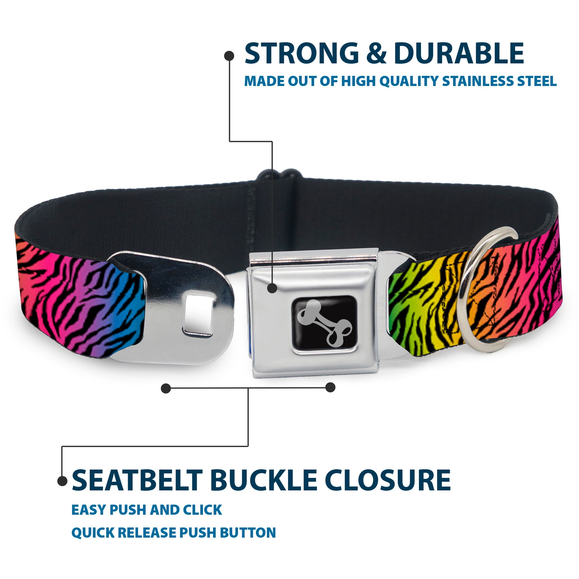 Dog Bone Seatbelt Buckle Collar - Zebra Rainbow Ombre Seatbelt Buckle Collars Buckle-Down