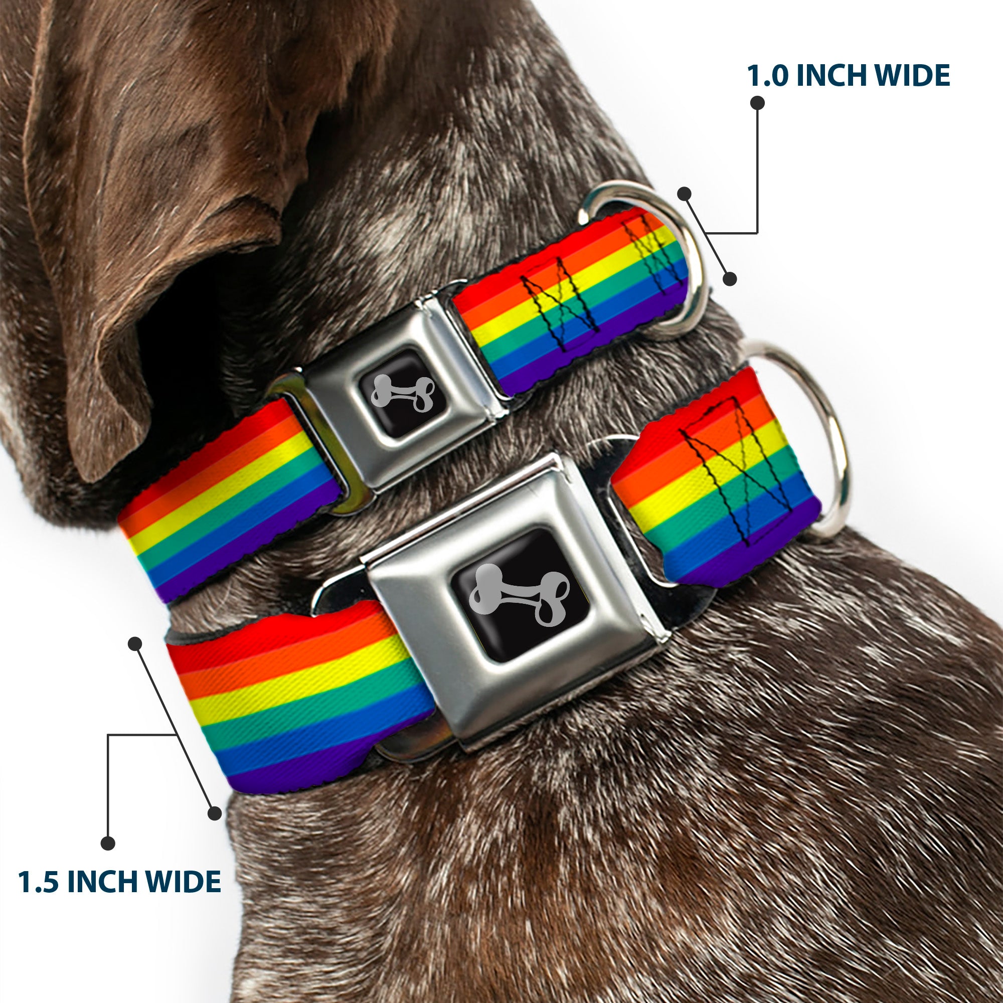 Dog Bone Black/Silver Seatbelt Buckle Collar - Rainbow Print Seatbelt Buckle Collars Buckle-Down