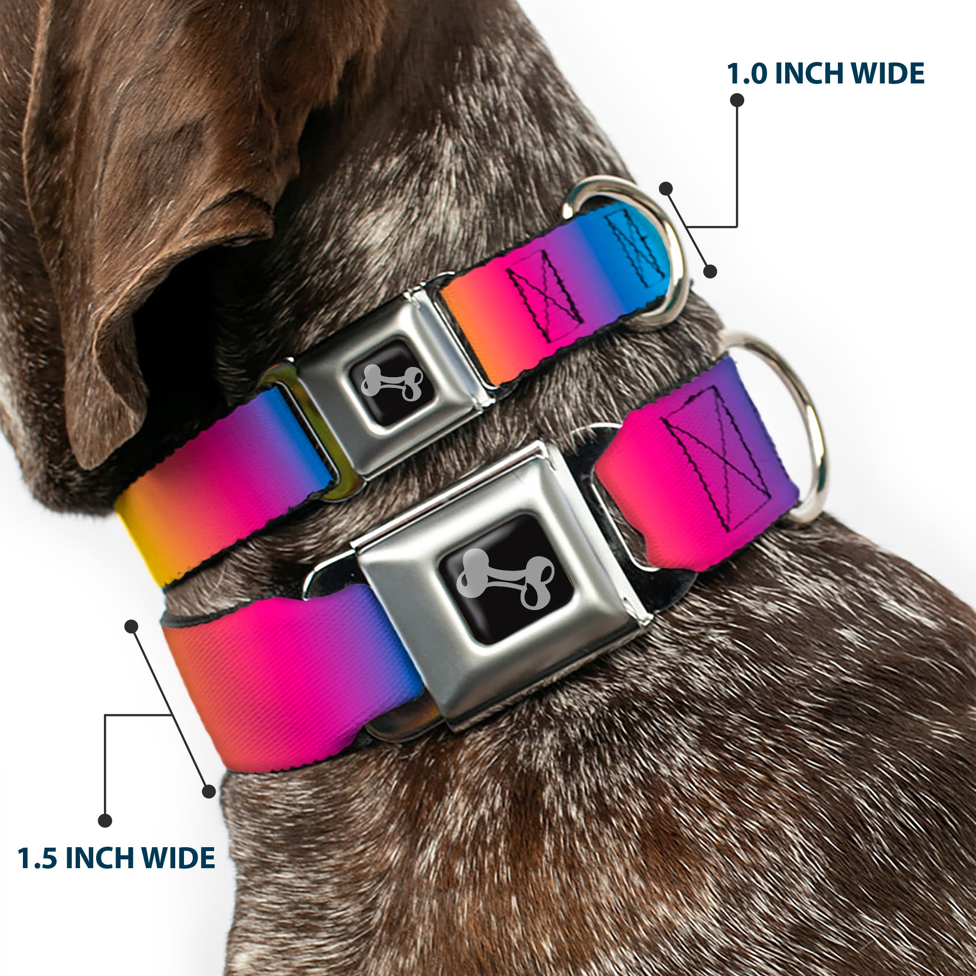 Dog Bone Black/Silver Seatbelt Buckle Collar - Rainbow Ombre Seatbelt Buckle Collars Buckle-Down