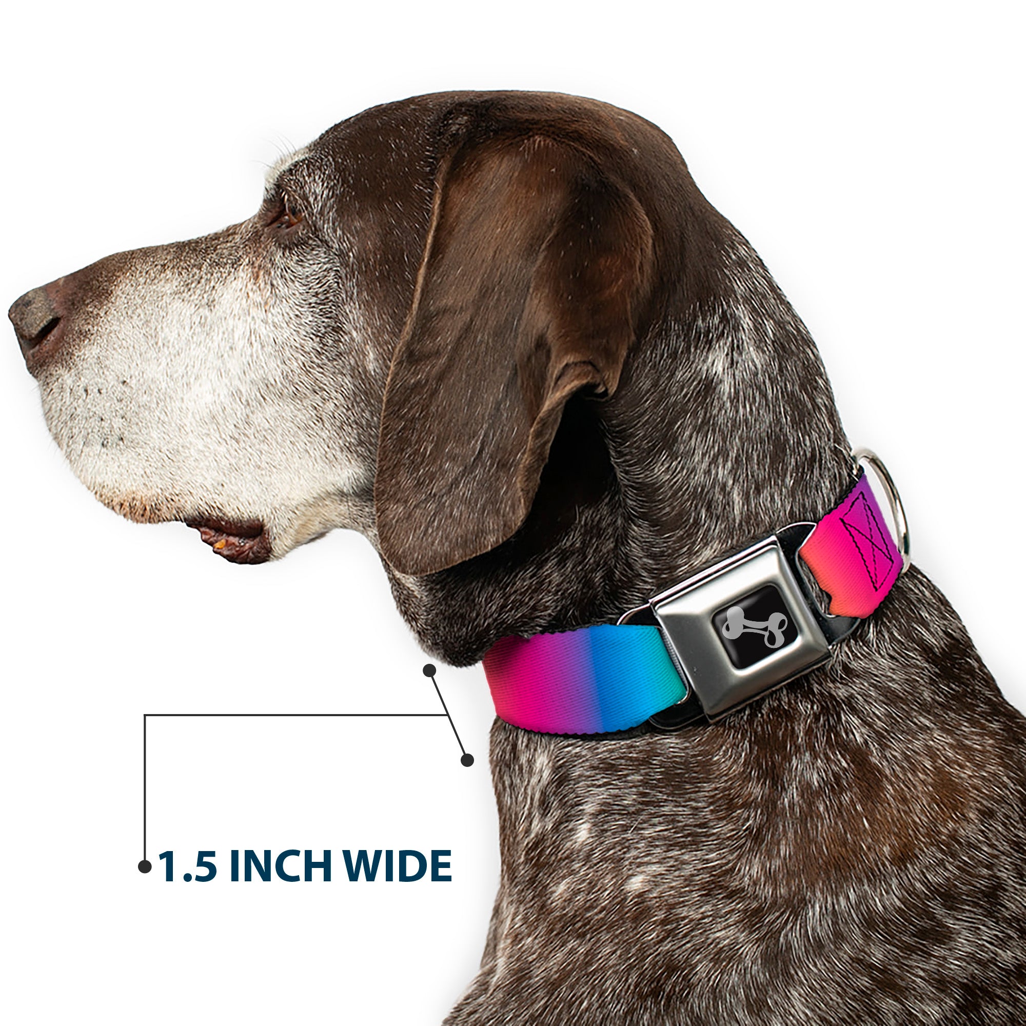Dog Bone Black/Silver Seatbelt Buckle Collar - Rainbow Ombre Seatbelt Buckle Collars Buckle-Down