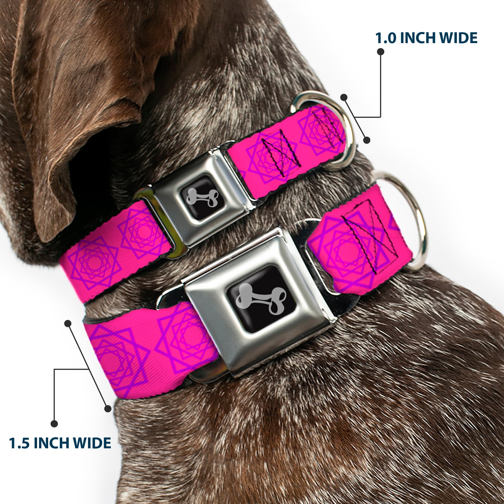 Dog Bone Seatbelt Buckle Collar - Rotating Squares Pink/Purple Seatbelt Buckle Collars Buckle-Down