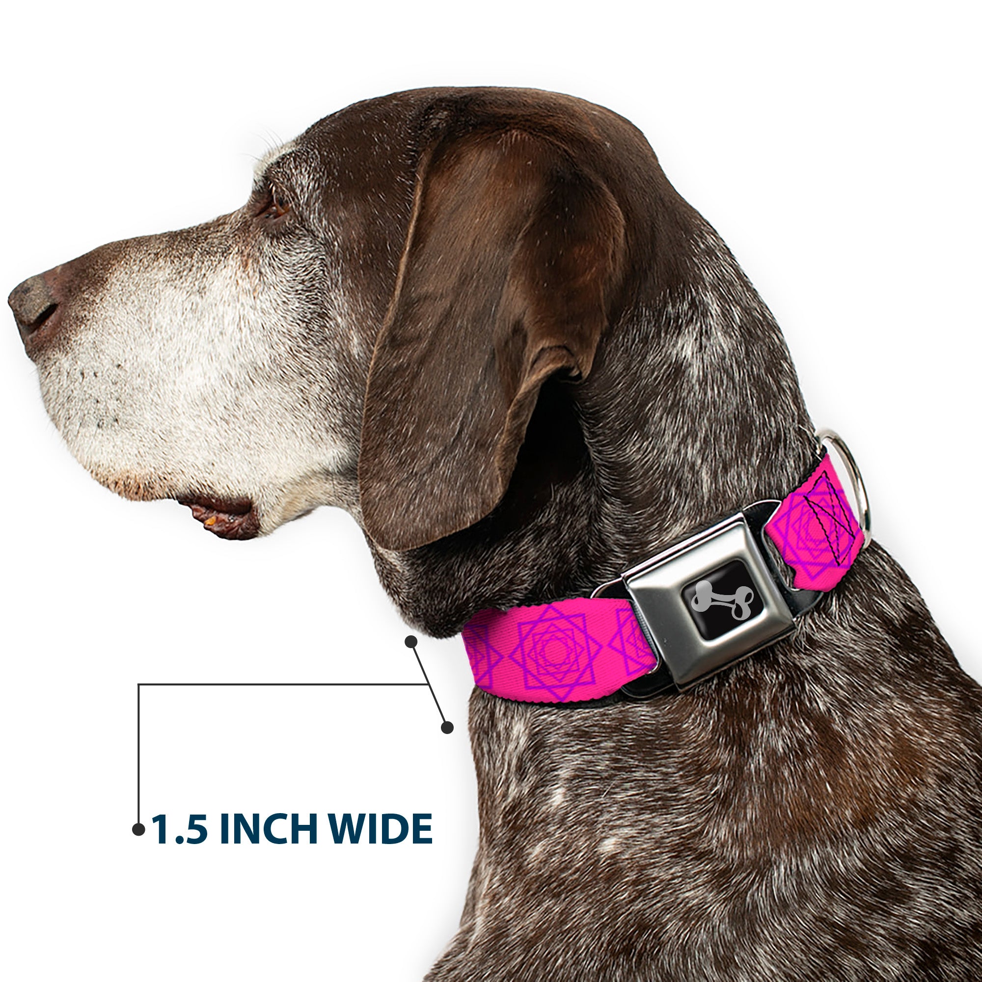 Dog Bone Seatbelt Buckle Collar - Rotating Squares Pink/Purple Seatbelt Buckle Collars Buckle-Down
