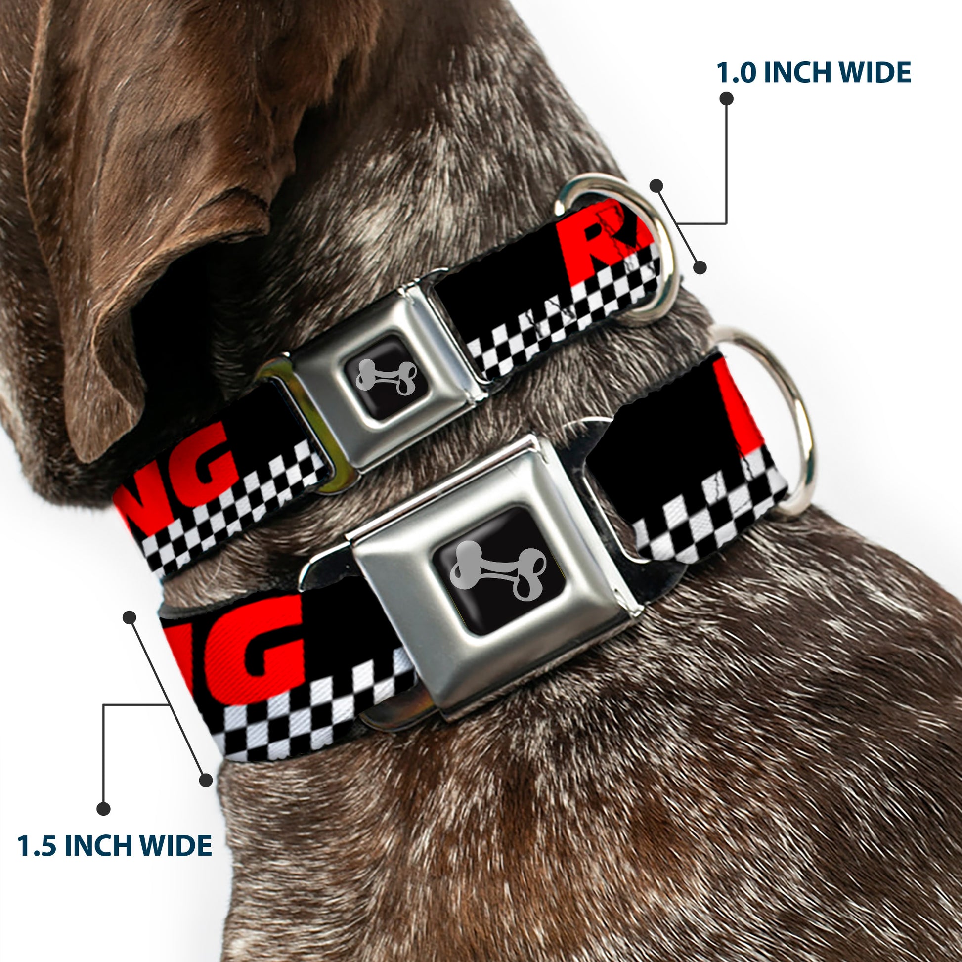 Dog Bone Seatbelt Buckle Collar - RACING w/Checker Black/White/Red Seatbelt Buckle Collars Buckle-Down