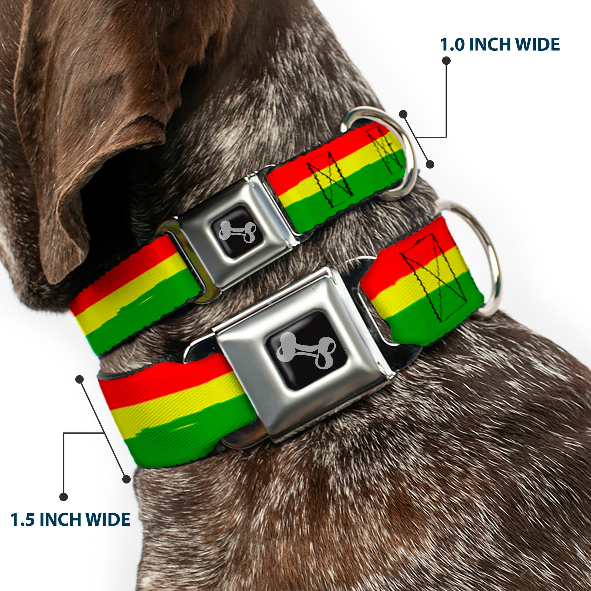Dog Bone Seatbelt Buckle Collar - Rasta Stripes Painted Green/Yellow/Red Seatbelt Buckle Collars Buckle-Down