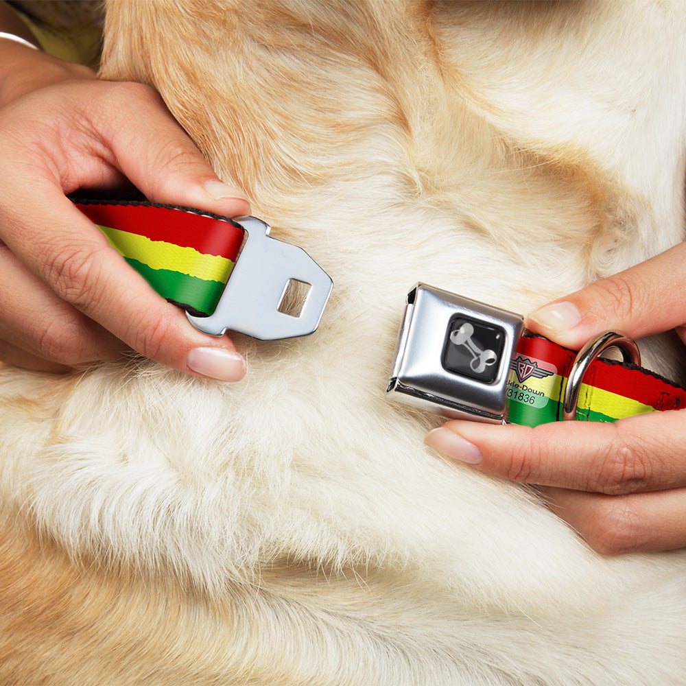 Dog Bone Seatbelt Buckle Collar - Rasta Stripes Painted Green/Yellow/Red Seatbelt Buckle Collars Buckle-Down
