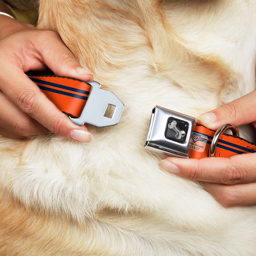 Dog Bone Seatbelt Buckle Collar - Racing Stripe Orange/Navy Seatbelt Buckle Collars Buckle-Down
