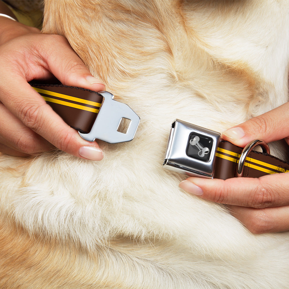 Dog Bone Seatbelt Buckle Collar - Racing Stripe Brown/Gold Seatbelt Buckle Collars Buckle-Down