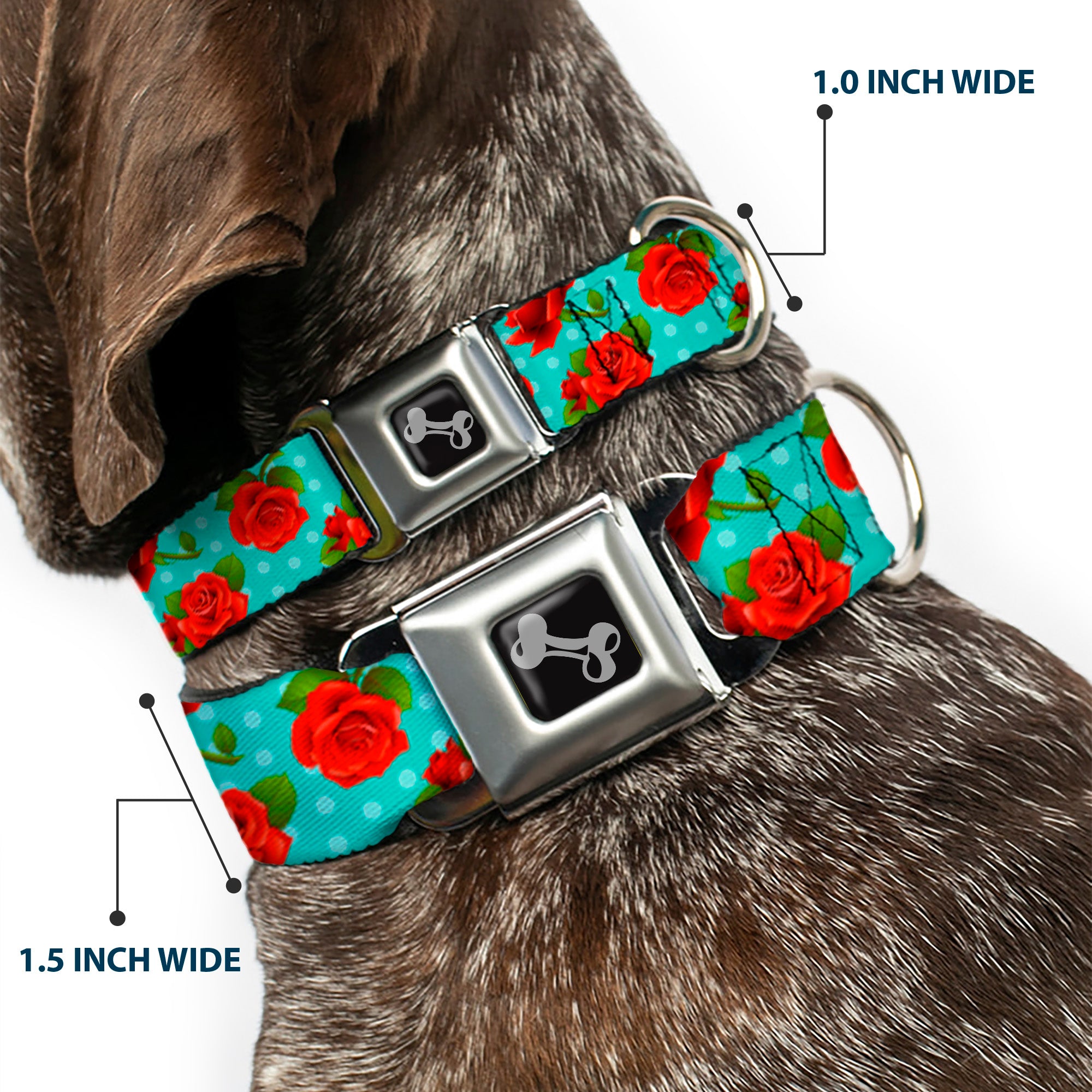 Dog Bone Seatbelt Buckle Collar - Red Roses/Polka Dots Turquoise Seatbelt Buckle Collars Buckle-Down