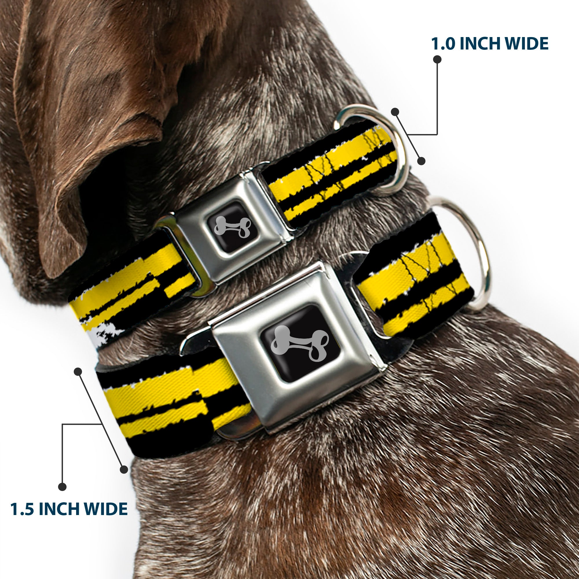 Dog Bone Seatbelt Buckle Collar - Racing Stripe2 Weathered Black/Yellow Seatbelt Buckle Collars Buckle-Down