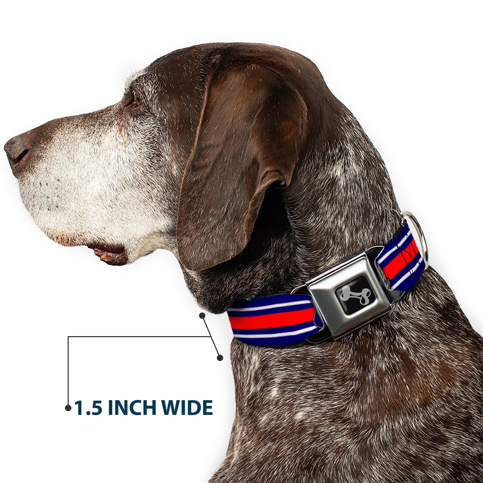 Dog Bone Seatbelt Buckle Collar - ROUTE 66 Highway Sign/Stripe Blue/White/Red Seatbelt Buckle Collars Buckle-Down