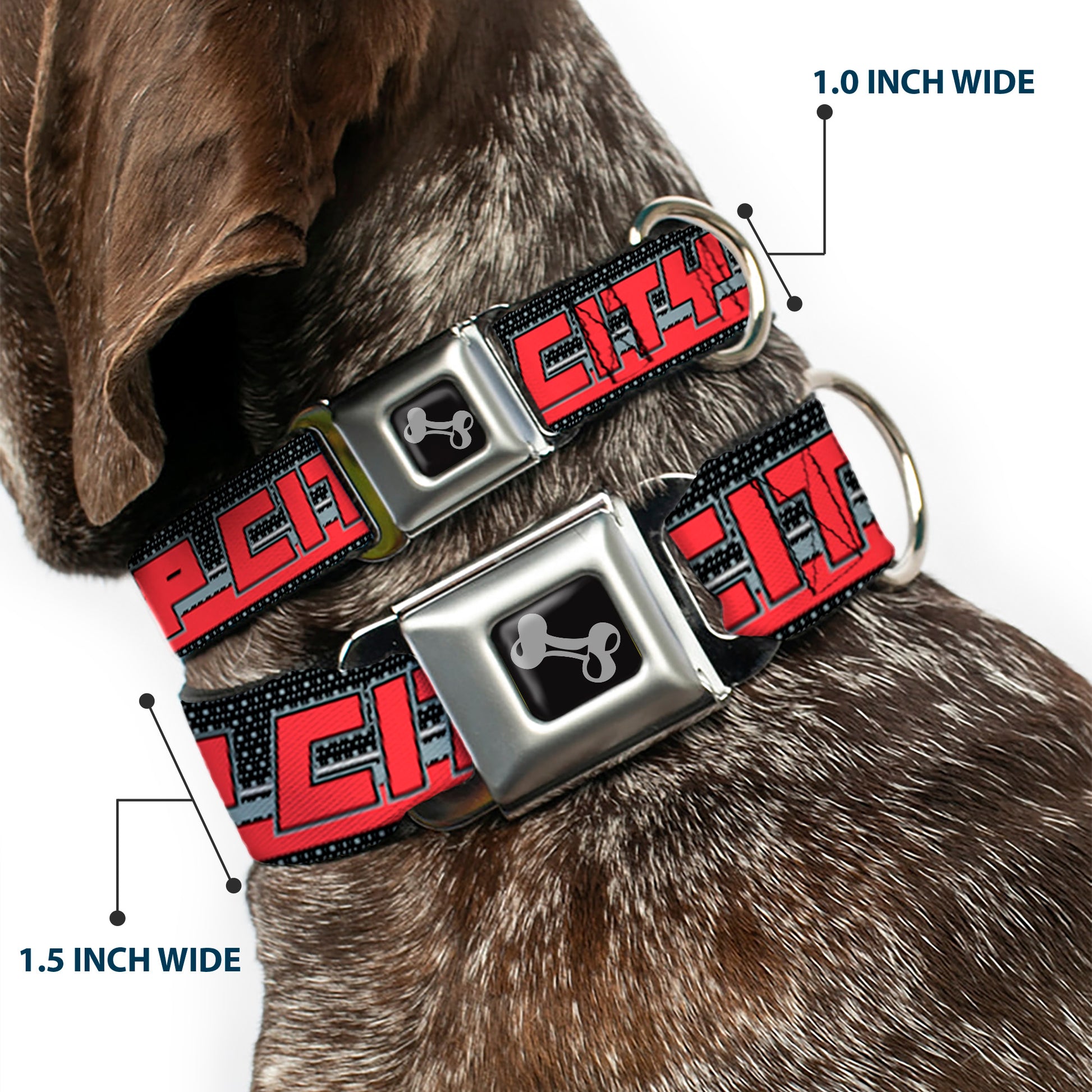 Dog Bone Seatbelt Buckle Collar - RIP CITY/Stripe/Mesh Black/Gray/Red Seatbelt Buckle Collars Buckle-Down
