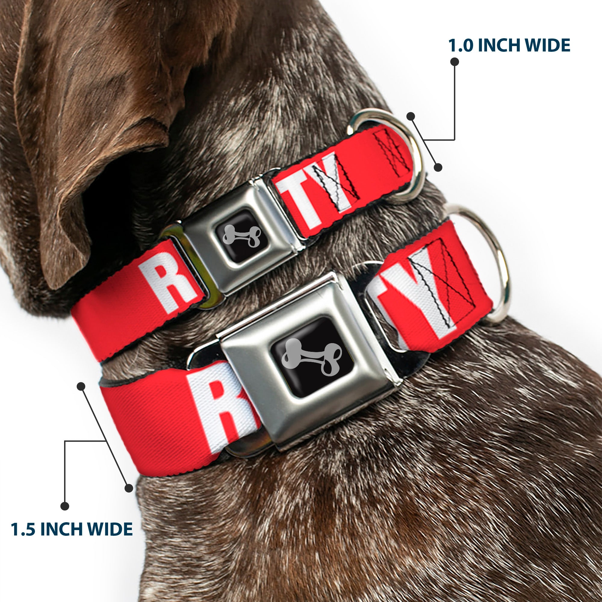 Dog Bone Seatbelt Buckle Collar - RIP CITY Red/White Seatbelt Buckle Collars Buckle-Down