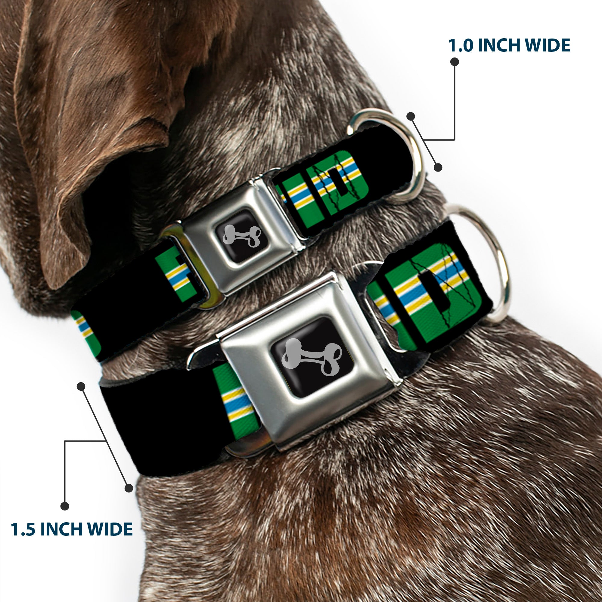 Dog Bone Seatbelt Buckle Collar - RCTID Black/Portland Flag Seatbelt Buckle Collars Buckle-Down
