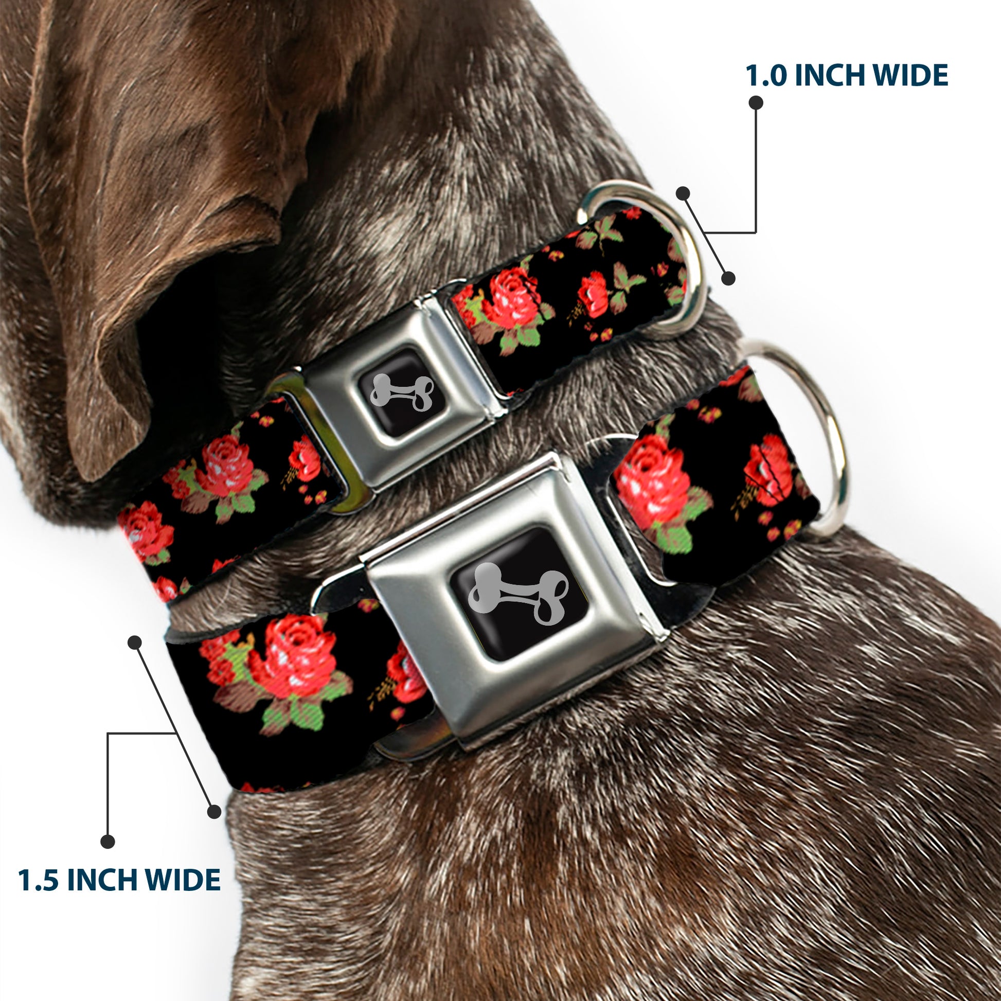 Dog Bone Seatbelt Buckle Collar - Red Roses Scattered Black Seatbelt Buckle Collars Buckle-Down