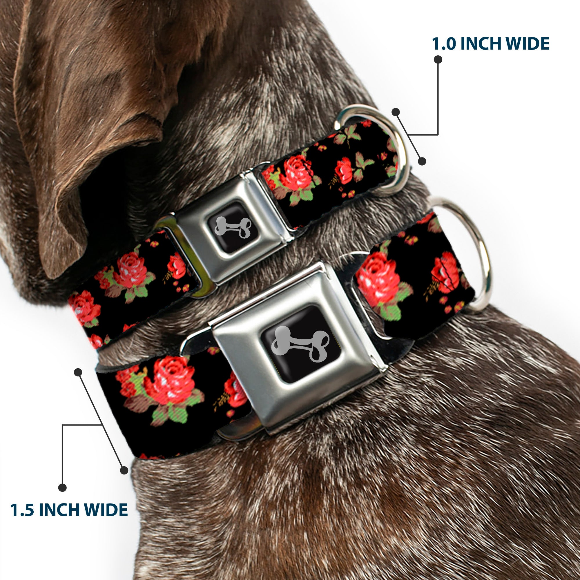 Dog Bone Seatbelt Buckle Collar - Red Roses Scattered Black Seatbelt Buckle Collars Buckle-Down