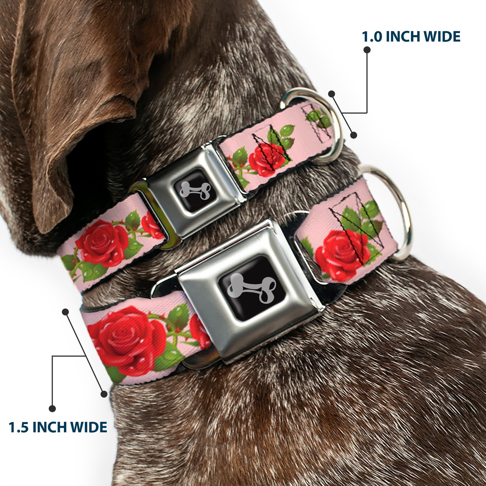 Dog Bone Seatbelt Buckle Collar - Rose Trio/Leaves Pink Seatbelt Buckle Collars Buckle-Down