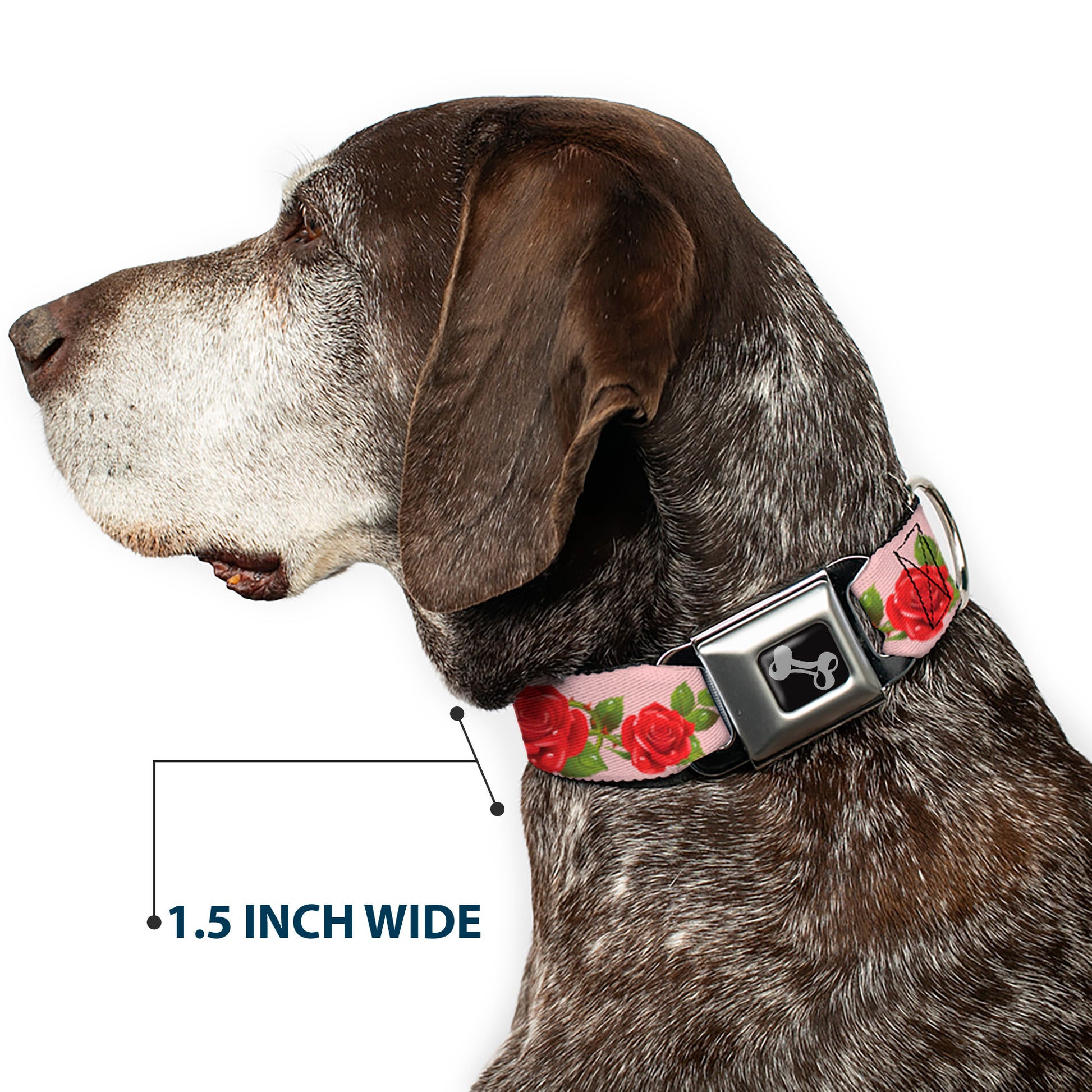 Dog Bone Seatbelt Buckle Collar - Rose Trio/Leaves Pink Seatbelt Buckle Collars Buckle-Down