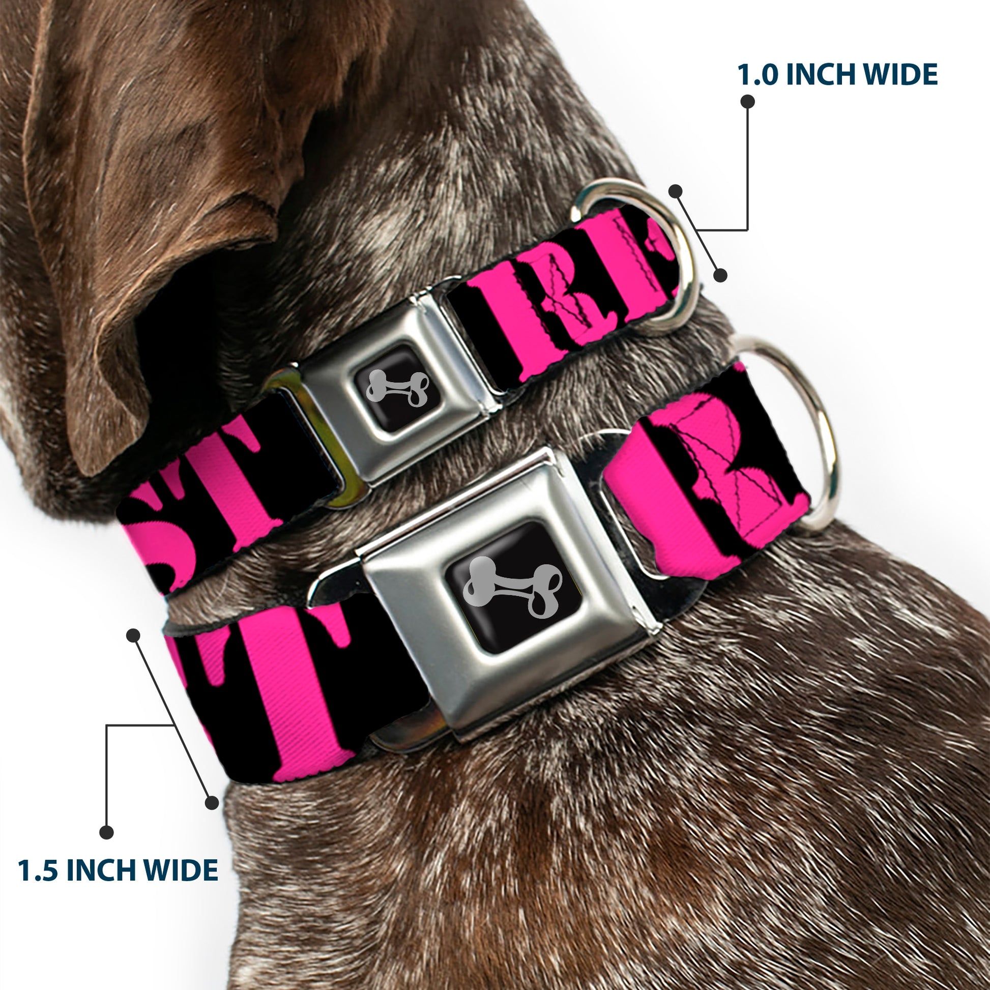 Dog Bone Seatbelt Buckle Collar - RESIST Stencil Black/Pink Seatbelt Buckle Collars Buckle-Down