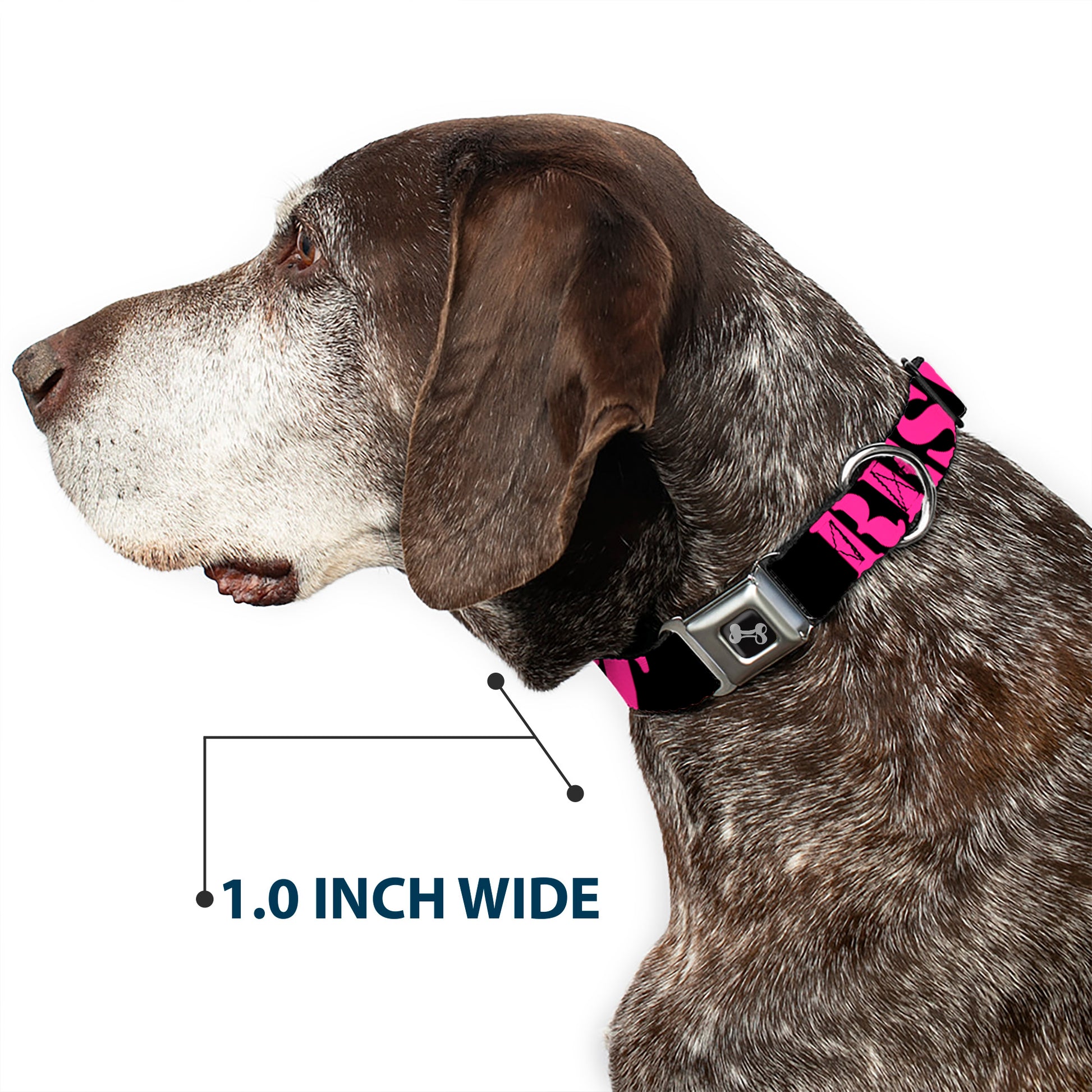Dog Bone Seatbelt Buckle Collar - RESIST Stencil Black/Pink Seatbelt Buckle Collars Buckle-Down