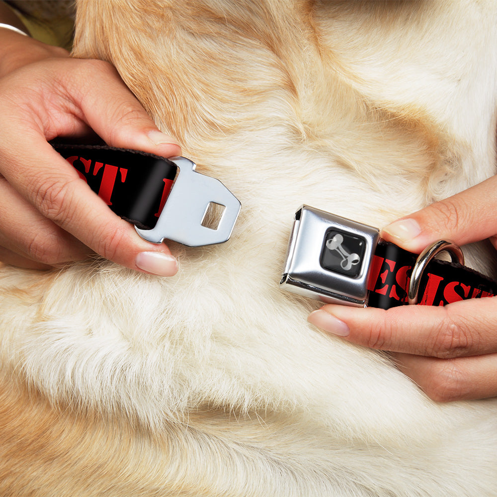 Dog Bone Seatbelt Buckle Collar - RESIST Stencil Black/Red Seatbelt Buckle Collars Buckle-Down