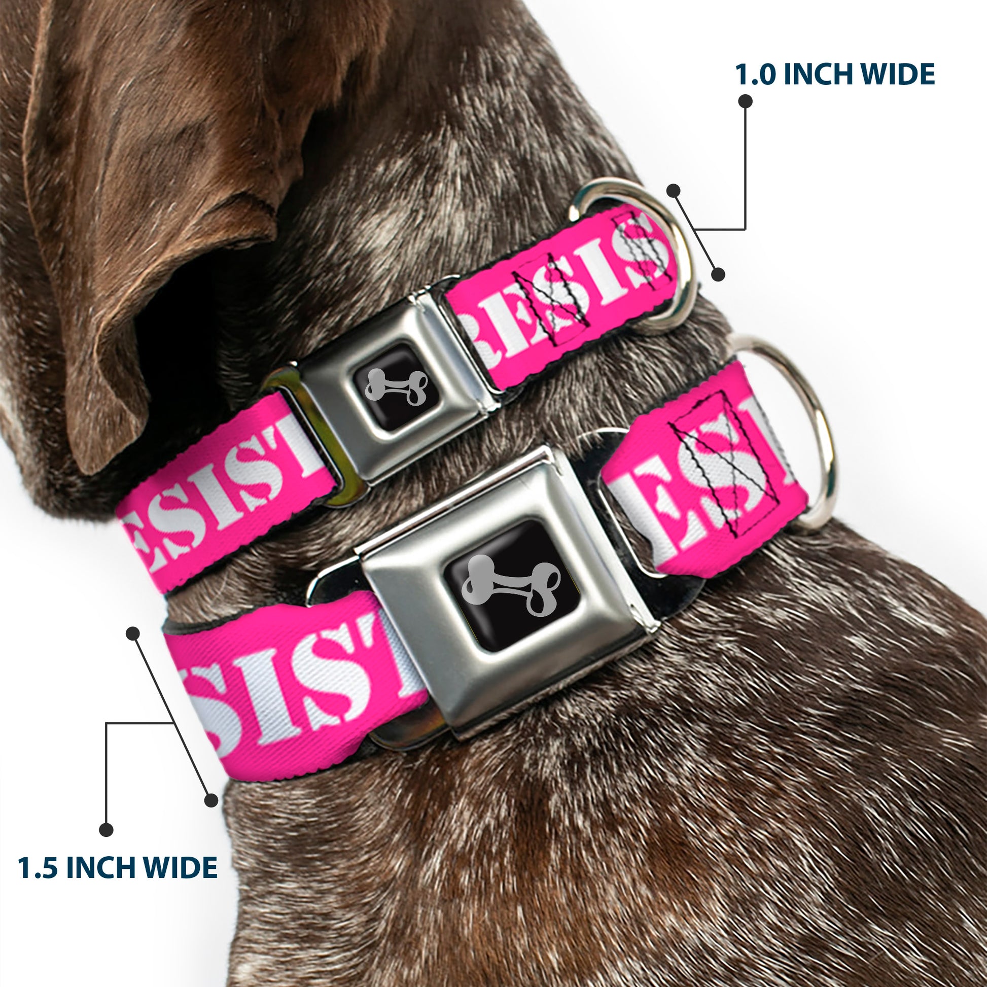 Dog Bone Seatbelt Buckle Collar - RESIST Stencil Pink/White Seatbelt Buckle Collars Buckle-Down