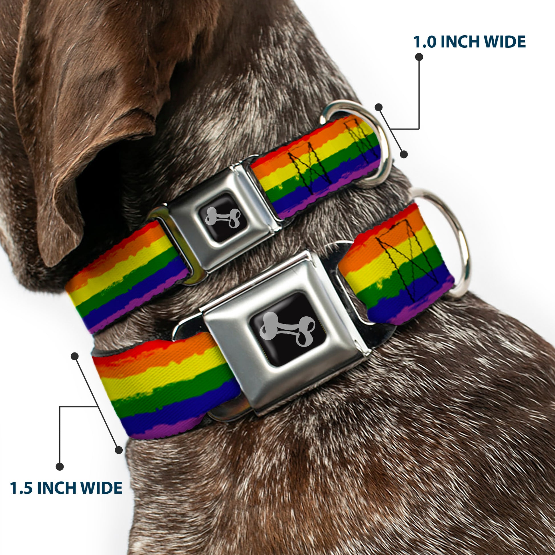 Dog Bone Seatbelt Buckle Collar - Rainbow Stripe Painted Seatbelt Buckle Collars Buckle-Down