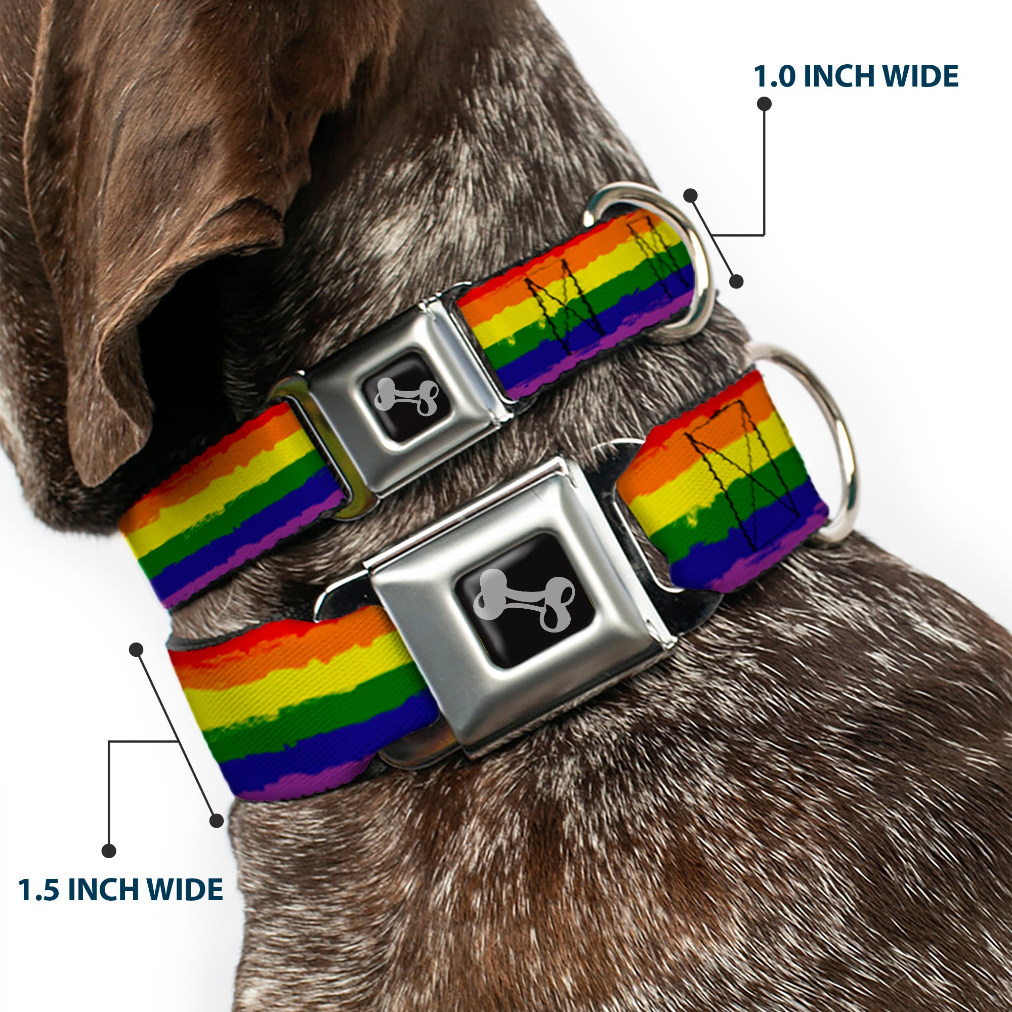 Dog Bone Seatbelt Buckle Collar - Rainbow Stripe Painted Seatbelt Buckle Collars Buckle-Down