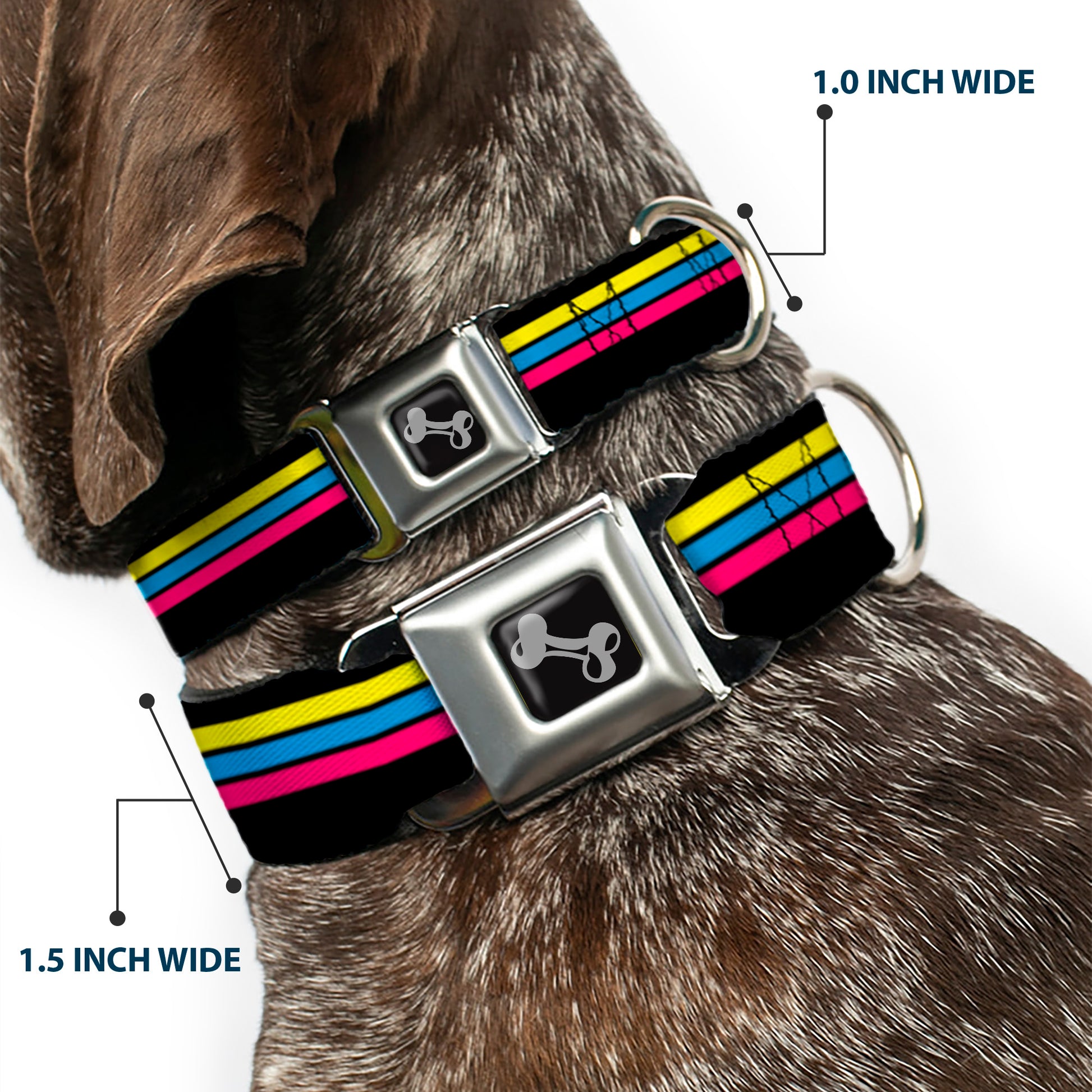 Dog Bone Black/Silver Seatbelt Buckle Collar - Racing Stripes Black/Yellow/Blue/Pink Seatbelt Buckle Collars Buckle-Down