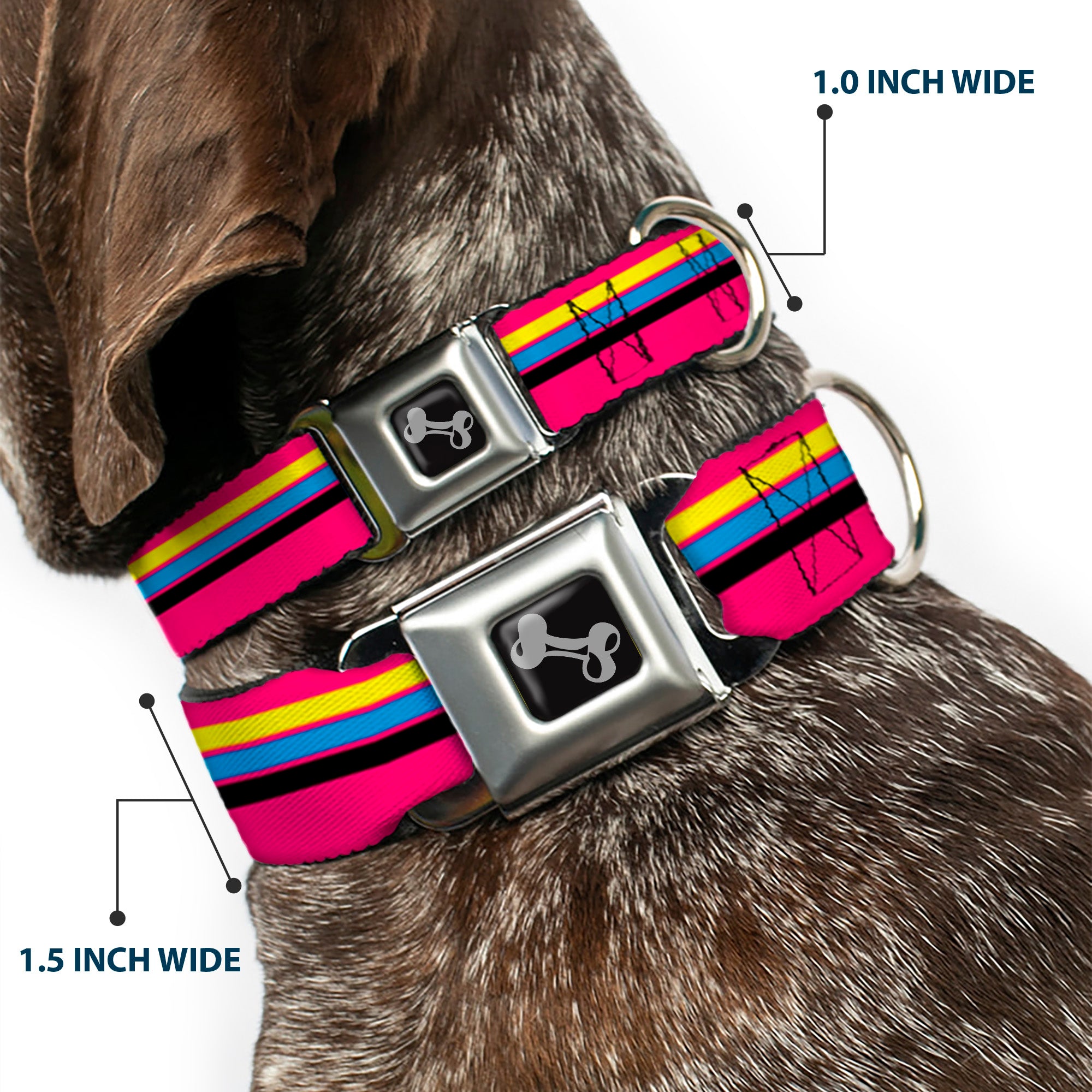 Dog Bone Black/Silver Seatbelt Buckle Collar - Racing Stripes Pink/Yellow/Blue/Black Seatbelt Buckle Collars Buckle-Down