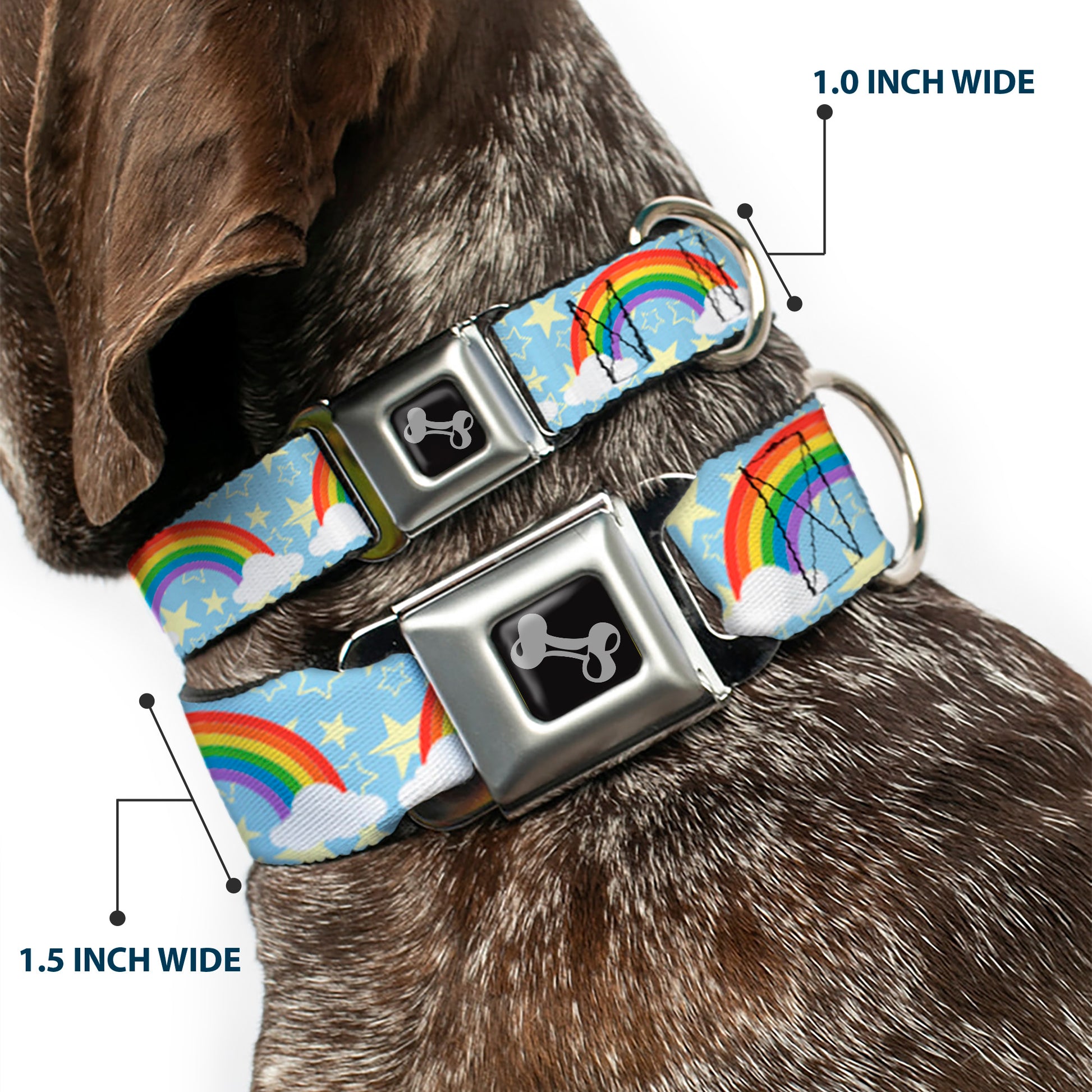 Dog Bone Black/Silver Seatbelt Buckle Collar - Rainbows & Stars Light Blue/Yellow/Rainbow Seatbelt Buckle Collars Buckle-Down