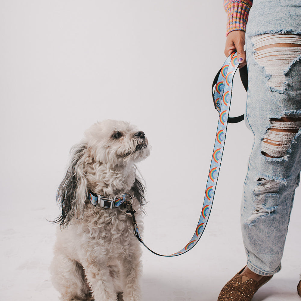 Dog Bone Black/Silver Seatbelt Buckle Collar - Rainbows & Stars Light Blue/Yellow/Rainbow Seatbelt Buckle Collars Buckle-Down