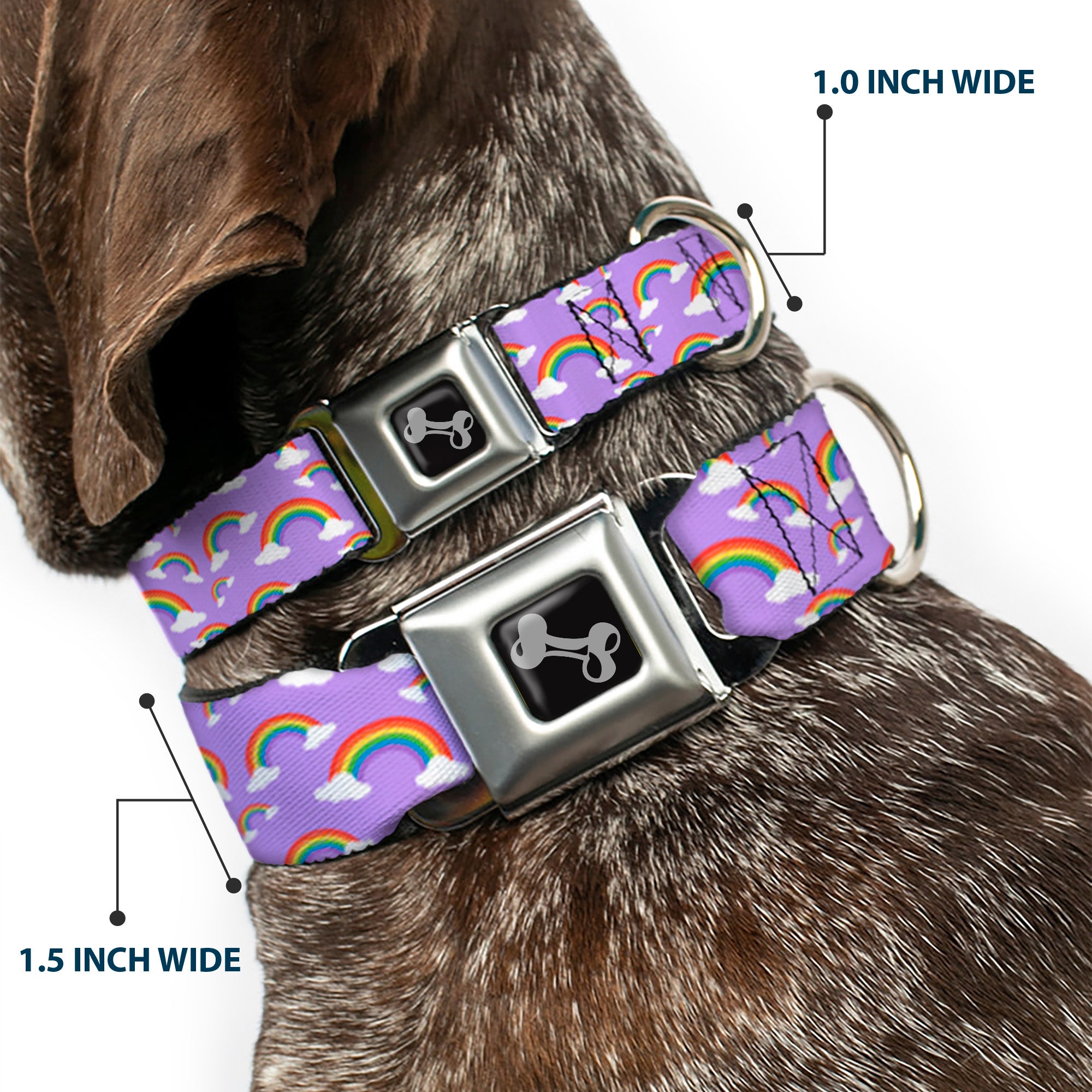 Dog Bone Black/Silver Seatbelt Buckle Collar - Rainbows Scattered Lavender Seatbelt Buckle Collars Buckle-Down