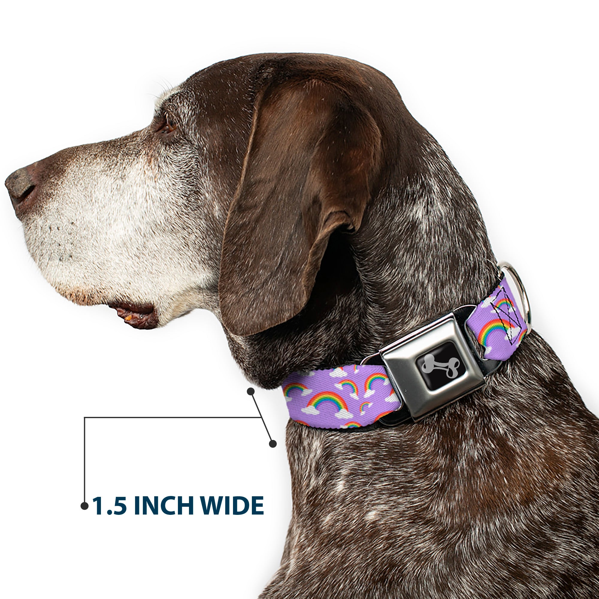 Dog Bone Black/Silver Seatbelt Buckle Collar - Rainbows Scattered Lavender Seatbelt Buckle Collars Buckle-Down
