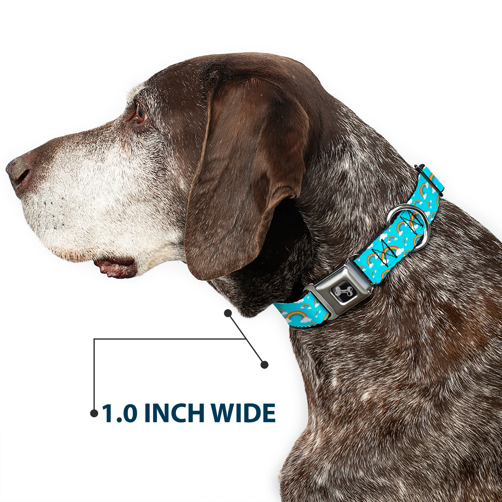 Dog Bone Black/Silver Seatbelt Buckle Collar - Rainbows Scattered Blue Seatbelt Buckle Collars Buckle-Down