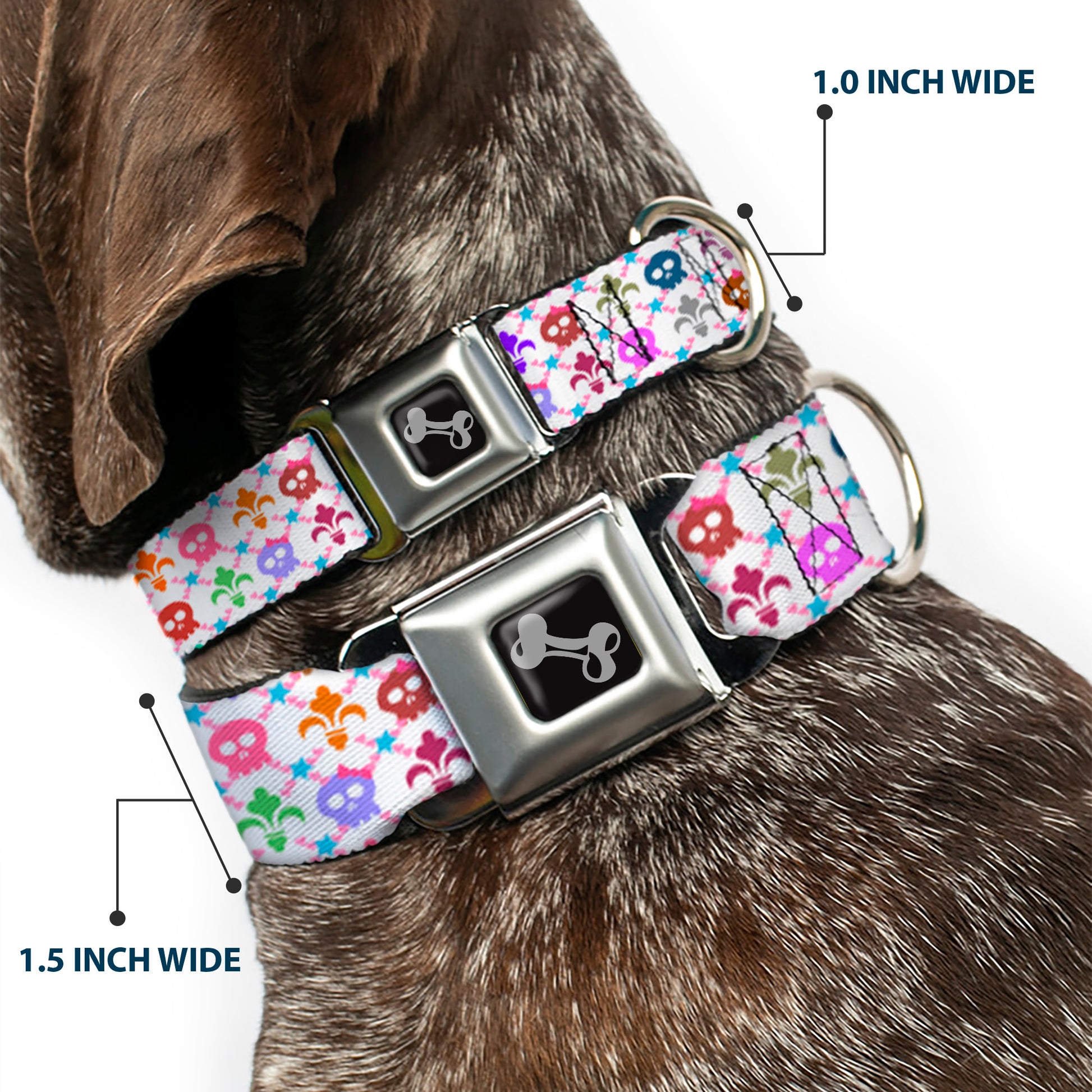 Dog Bone Seatbelt Buckle Collar - Skull & Fleur-de-Lis White/Multi Color Seatbelt Buckle Collars Buckle-Down