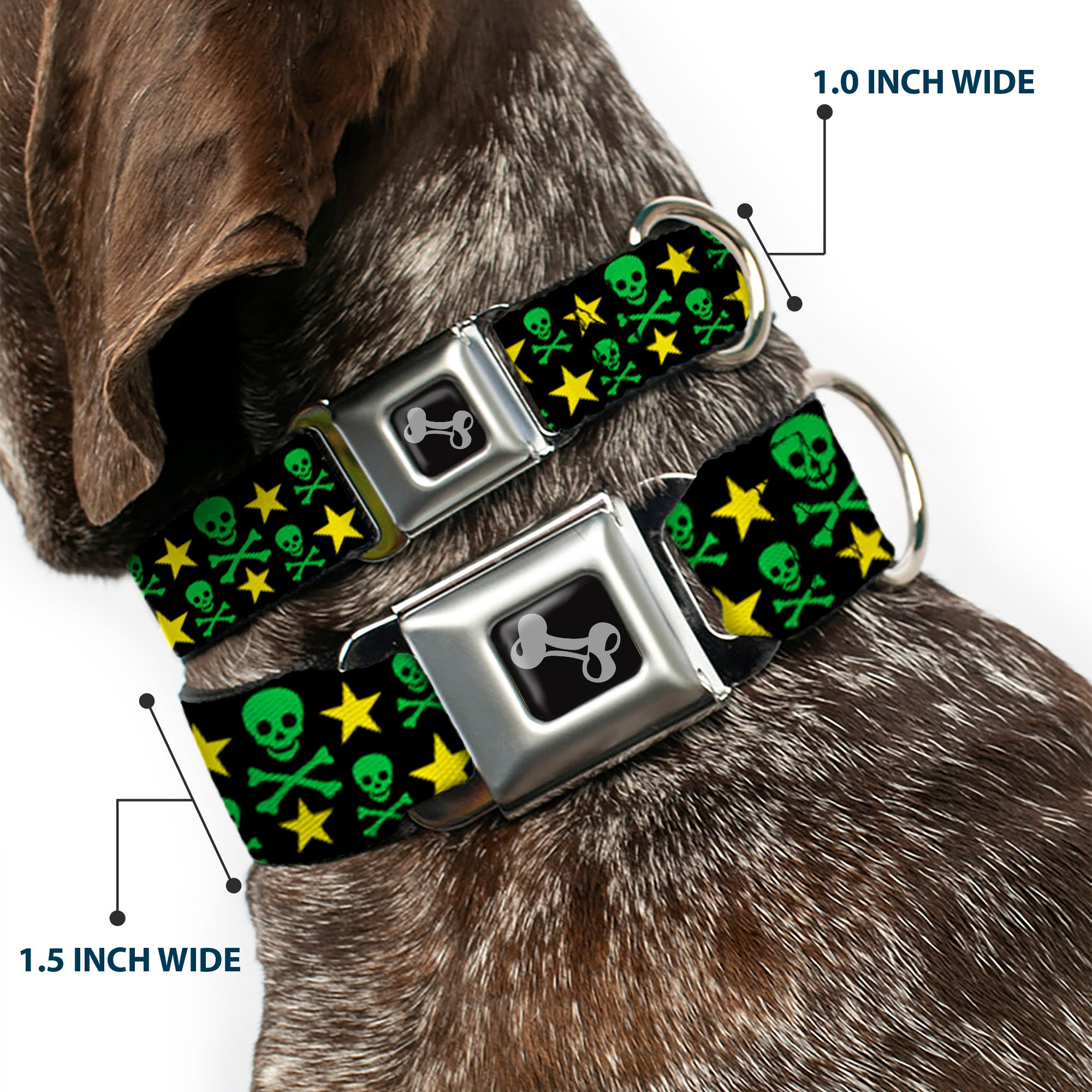 Dog Bone Seatbelt Buckle Collar - Skulls & Stars Black/Green/Yellow Seatbelt Buckle Collars Buckle-Down