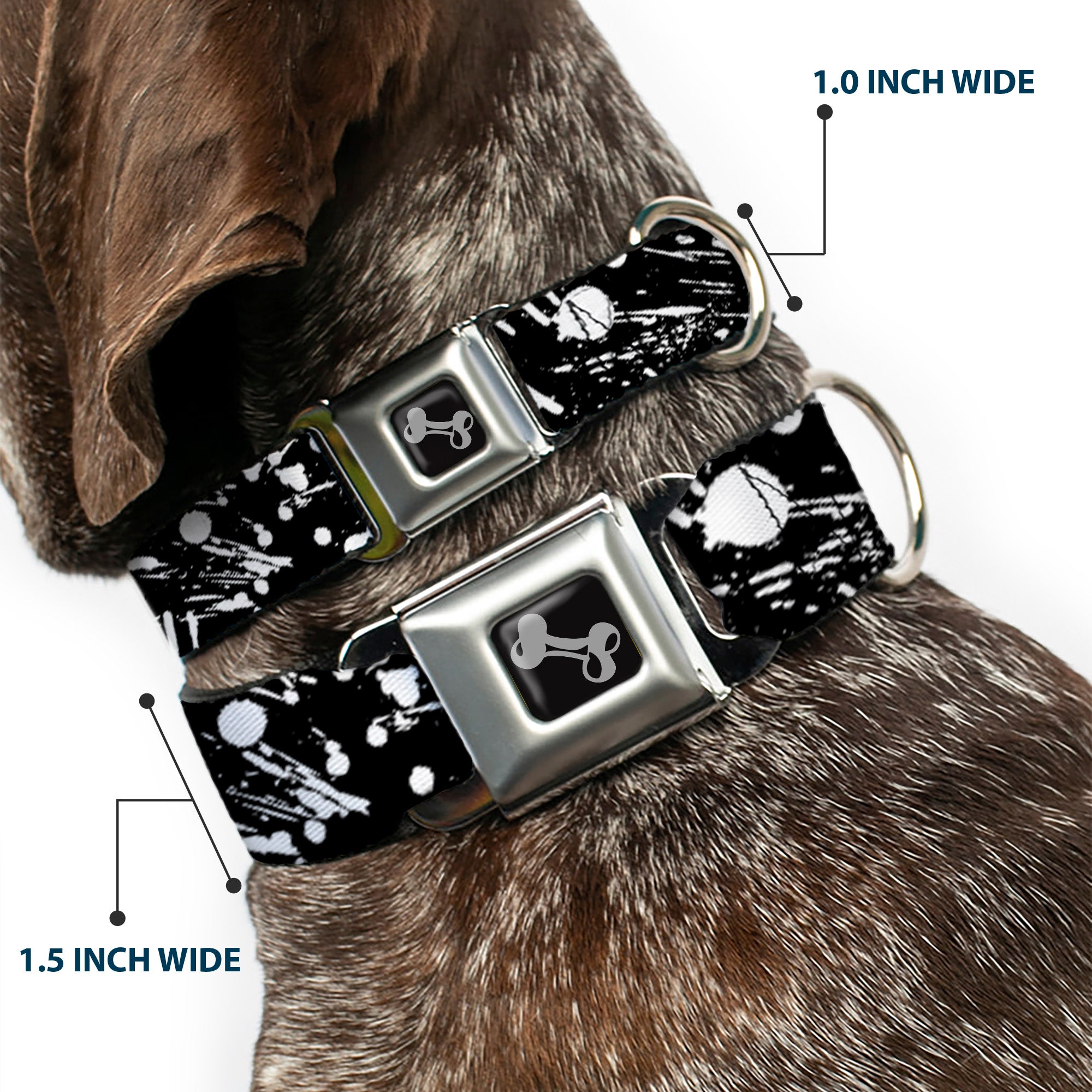 Dog Bone Seatbelt Buckle Collar - Splatter Black/White Seatbelt Buckle Collars Buckle-Down