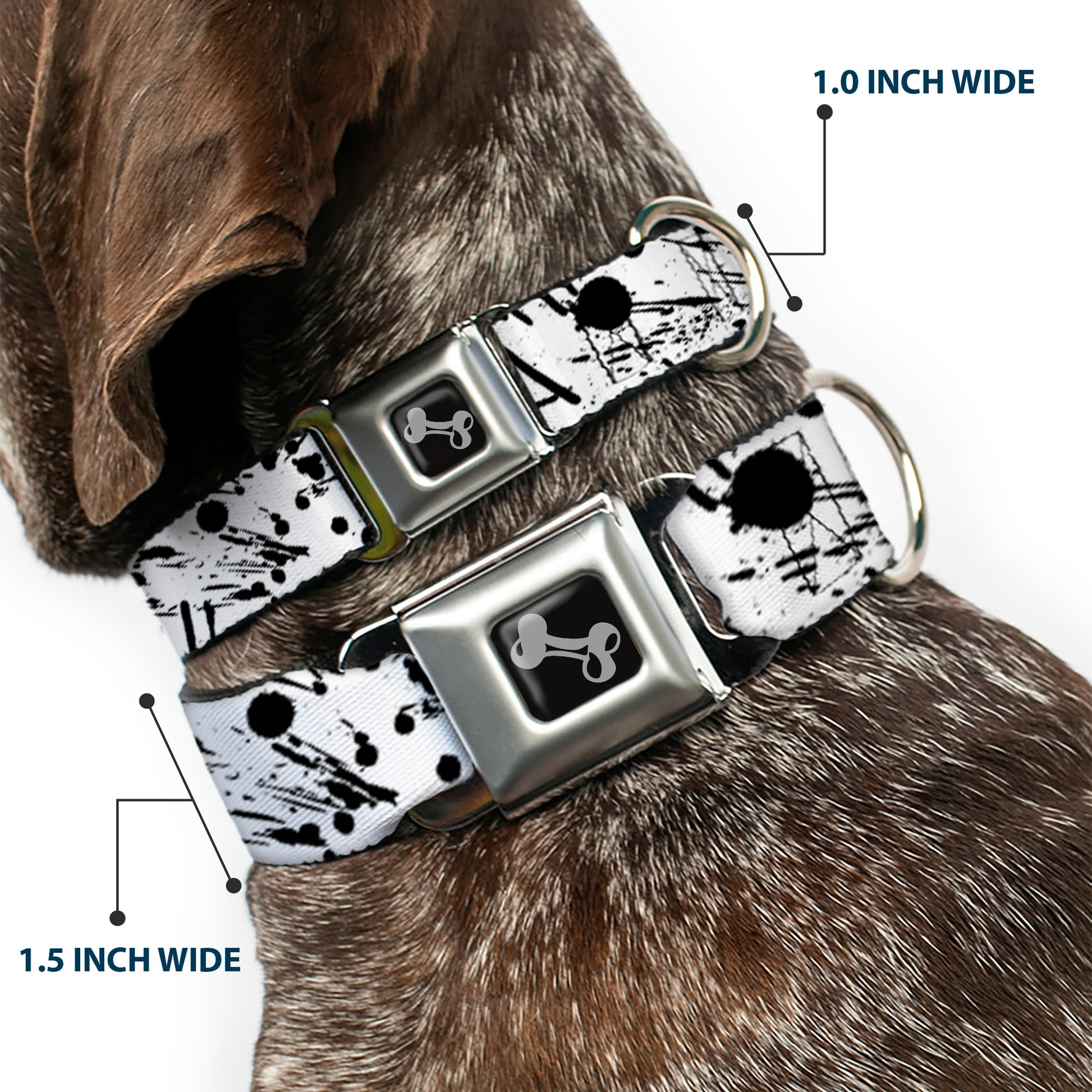 Dog Bone Seatbelt Buckle Collar - Splatter White/Black Seatbelt Buckle Collars Buckle-Down