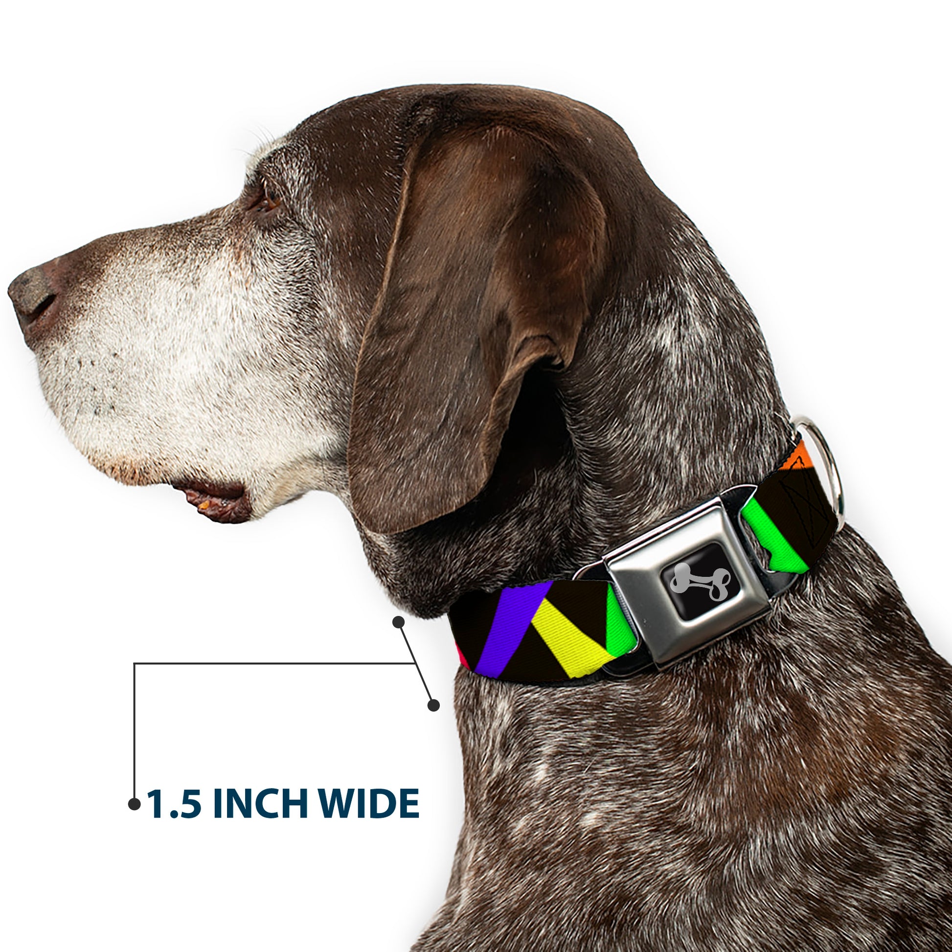 Dog Bone Seatbelt Buckle Collar - Spotlight Black/Multi Neon Seatbelt Buckle Collars Buckle-Down