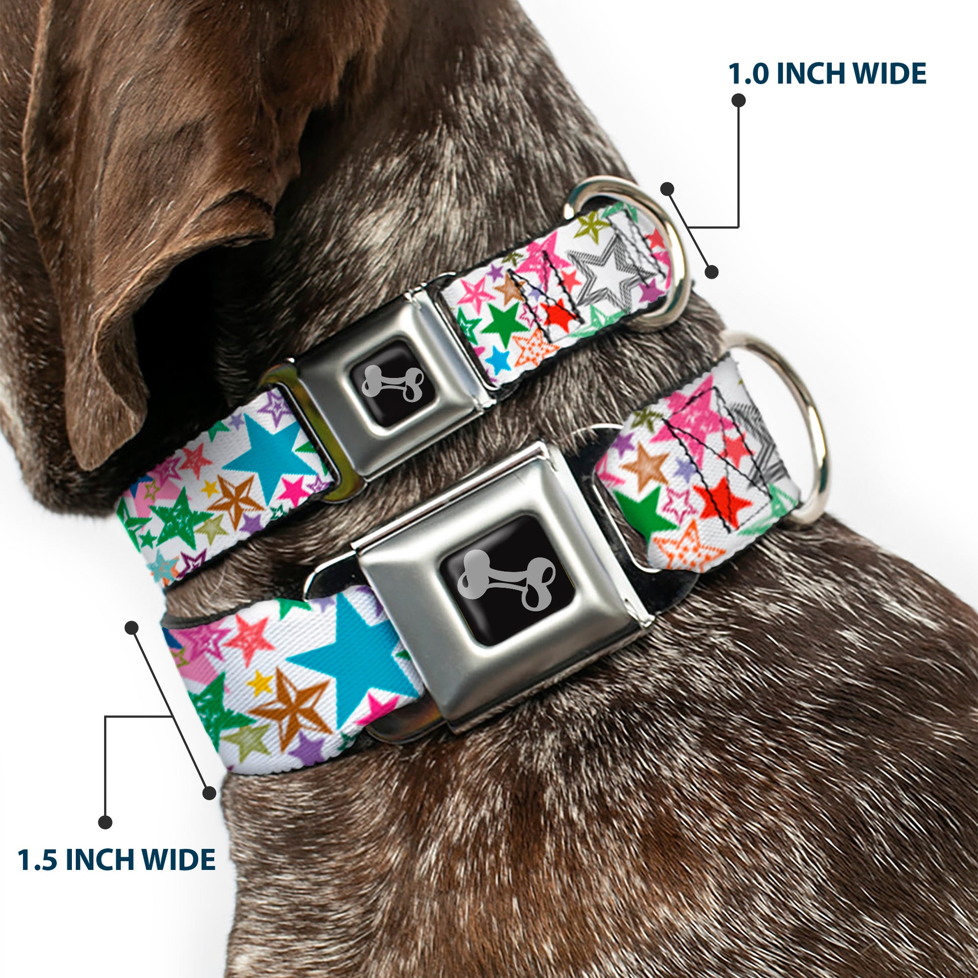 Dog Bone Seatbelt Buckle Collar - Stargazer White/Multi Color Seatbelt Buckle Collars Buckle-Down