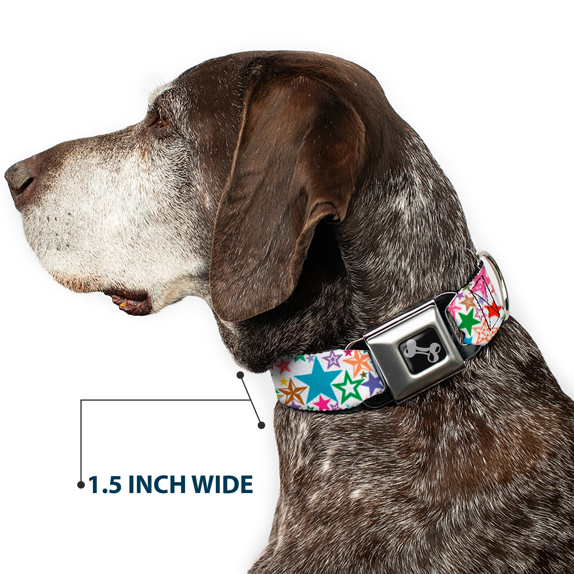 Dog Bone Seatbelt Buckle Collar - Stargazer White/Multi Color Seatbelt Buckle Collars Buckle-Down