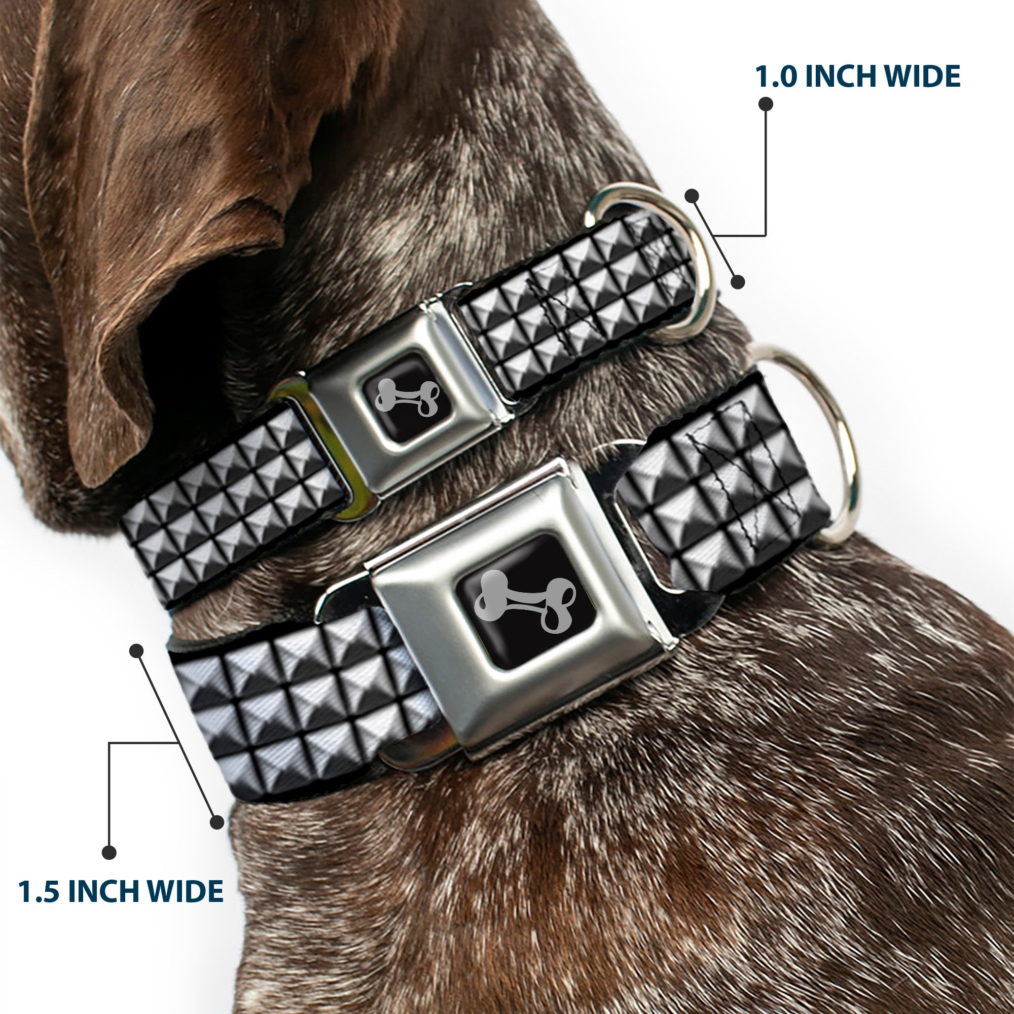 Dog Bone Black/Silver Seatbelt Buckle Collar - Printed Studs Seatbelt Buckle Collars Buckle-Down