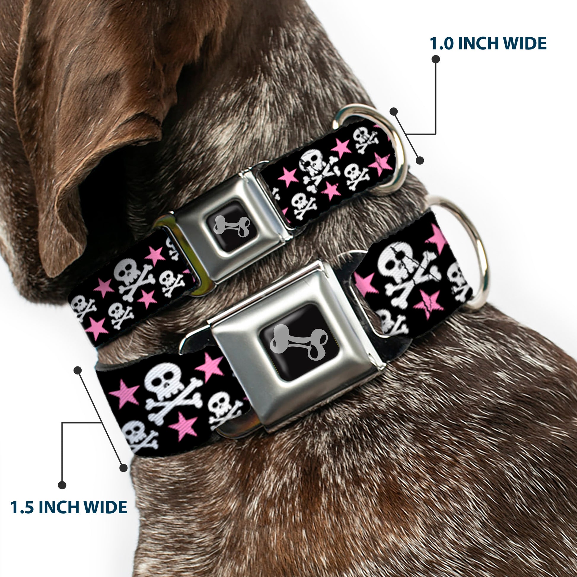 Dog Bone Seatbelt Buckle Collar - Skulls & Stars Black/White/Pink Seatbelt Buckle Collars Buckle-Down