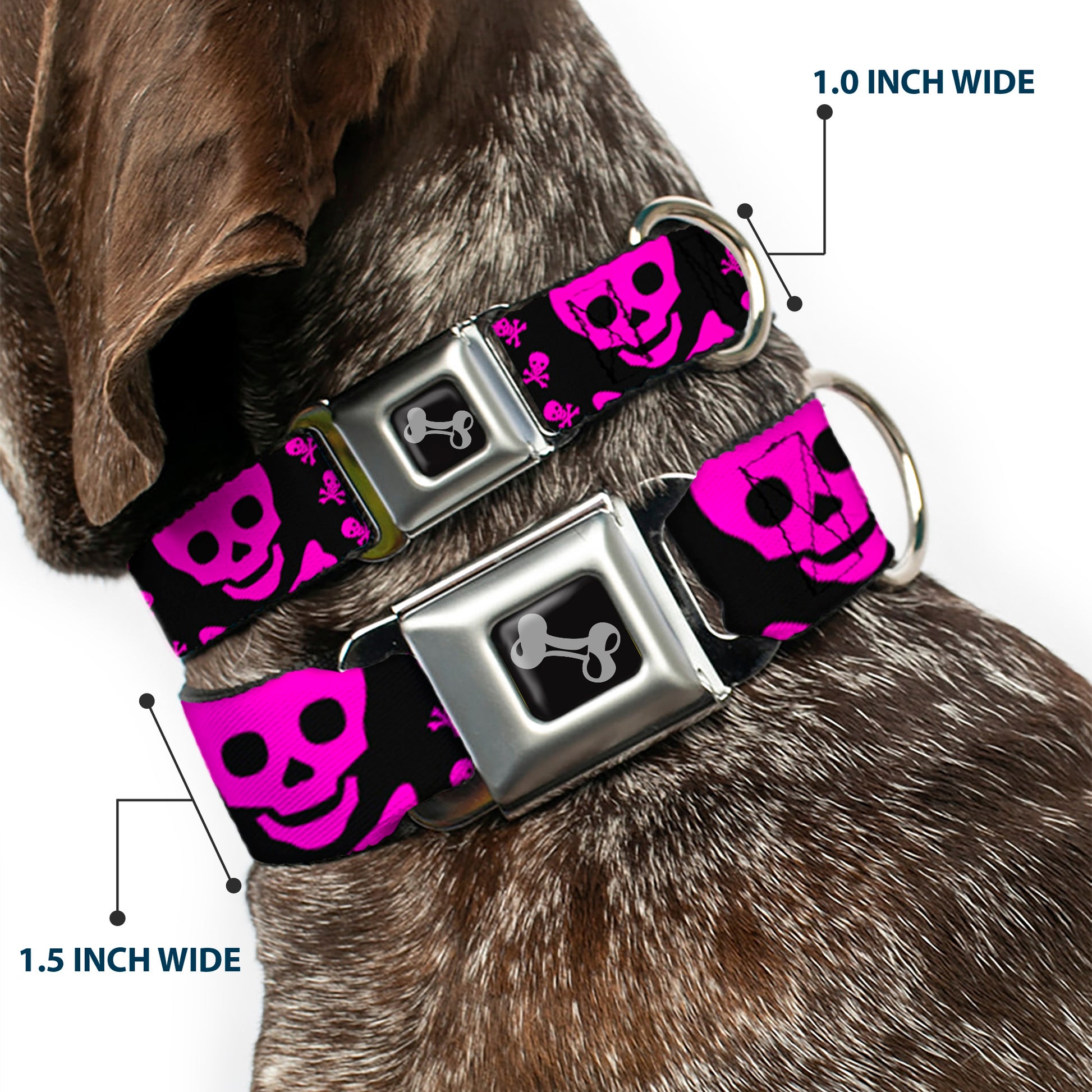 Dog Bone Seatbelt Buckle Collar - Skull w/Babies Black/Fuchsia Seatbelt Buckle Collars Buckle-Down