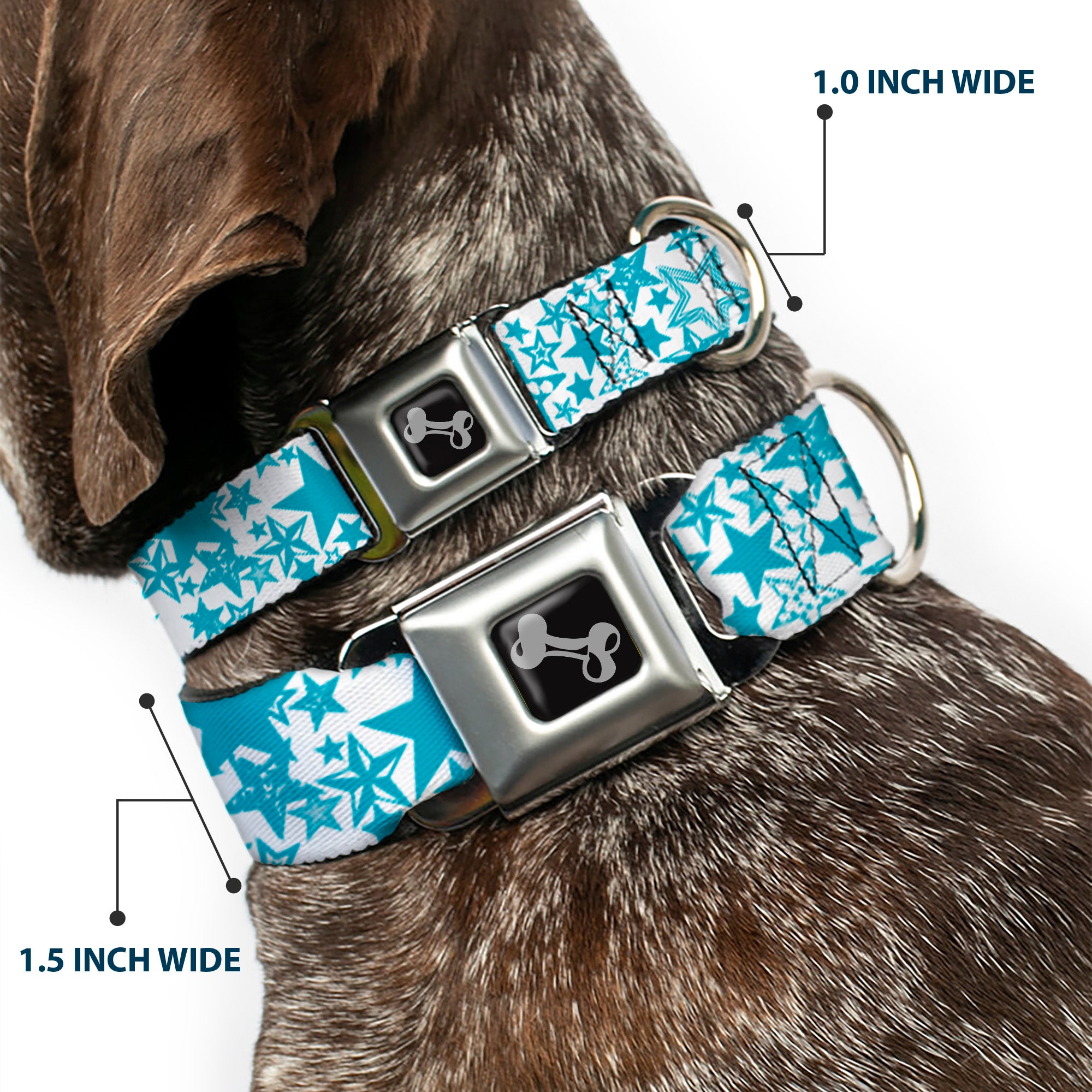 Dog Bone Seatbelt Buckle Collar - Stargazer White/Blue Seatbelt Buckle Collars Buckle-Down